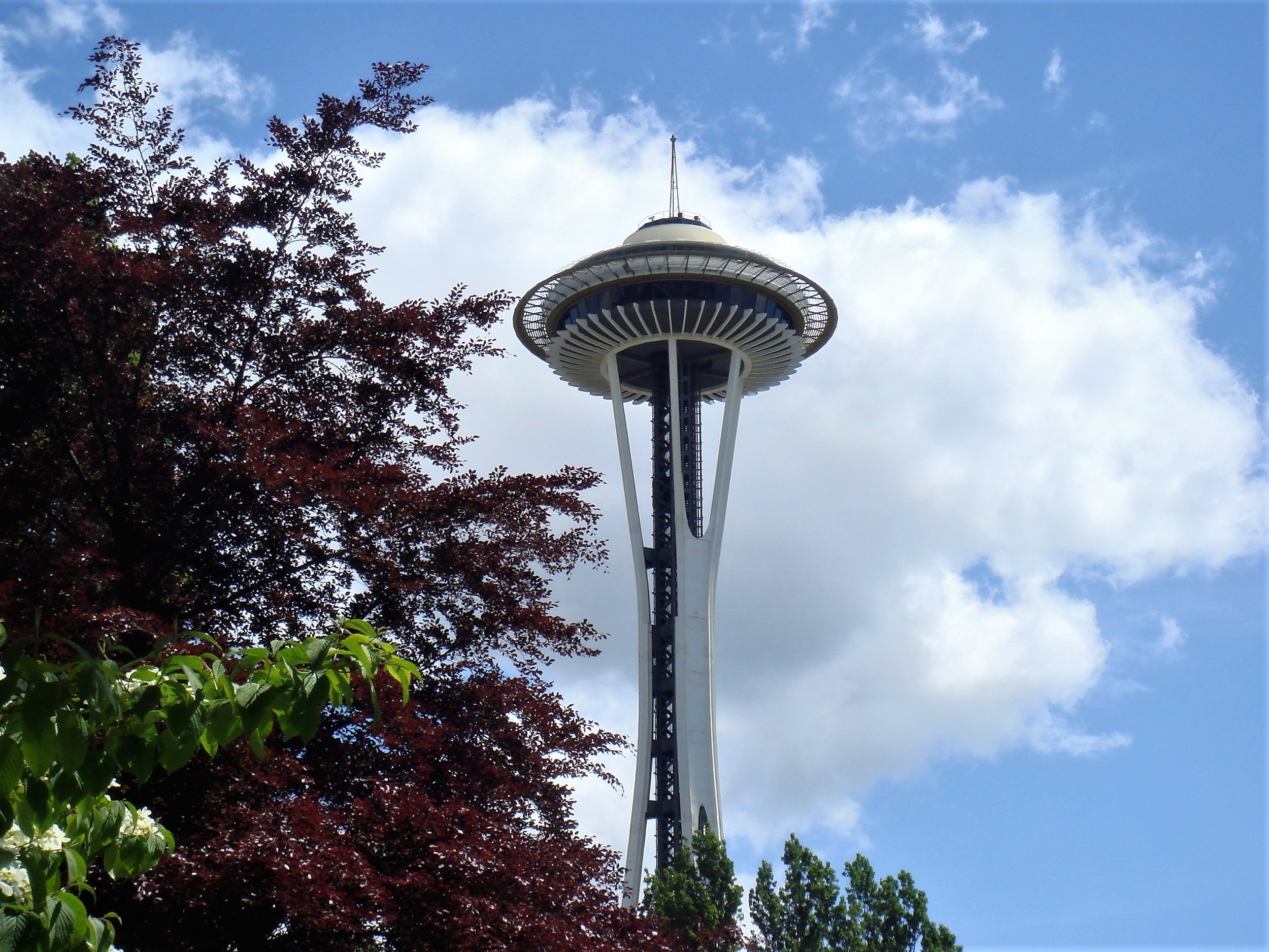Space Needle.jpg