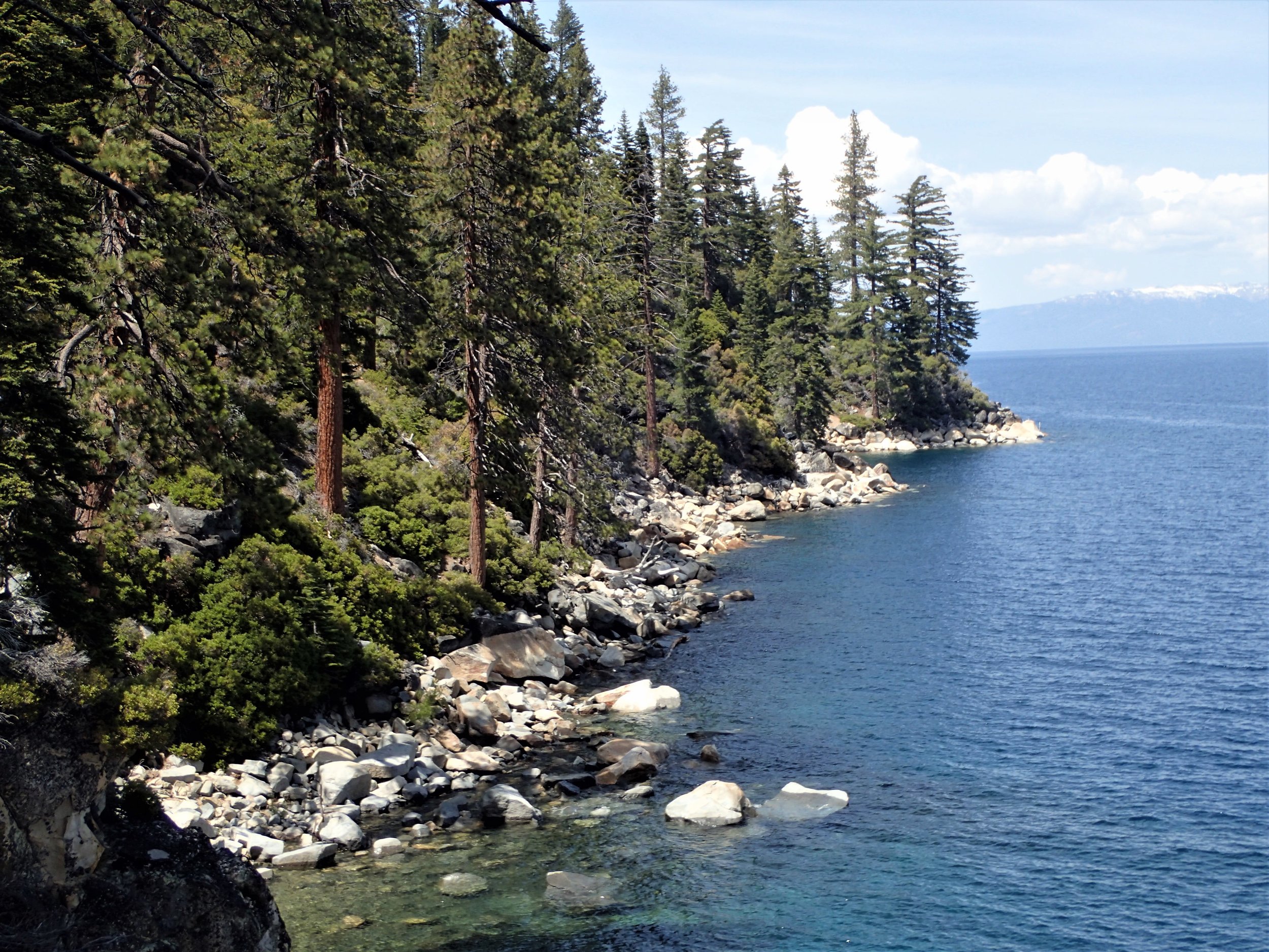 Tahoe's Rocky Shore.jpg