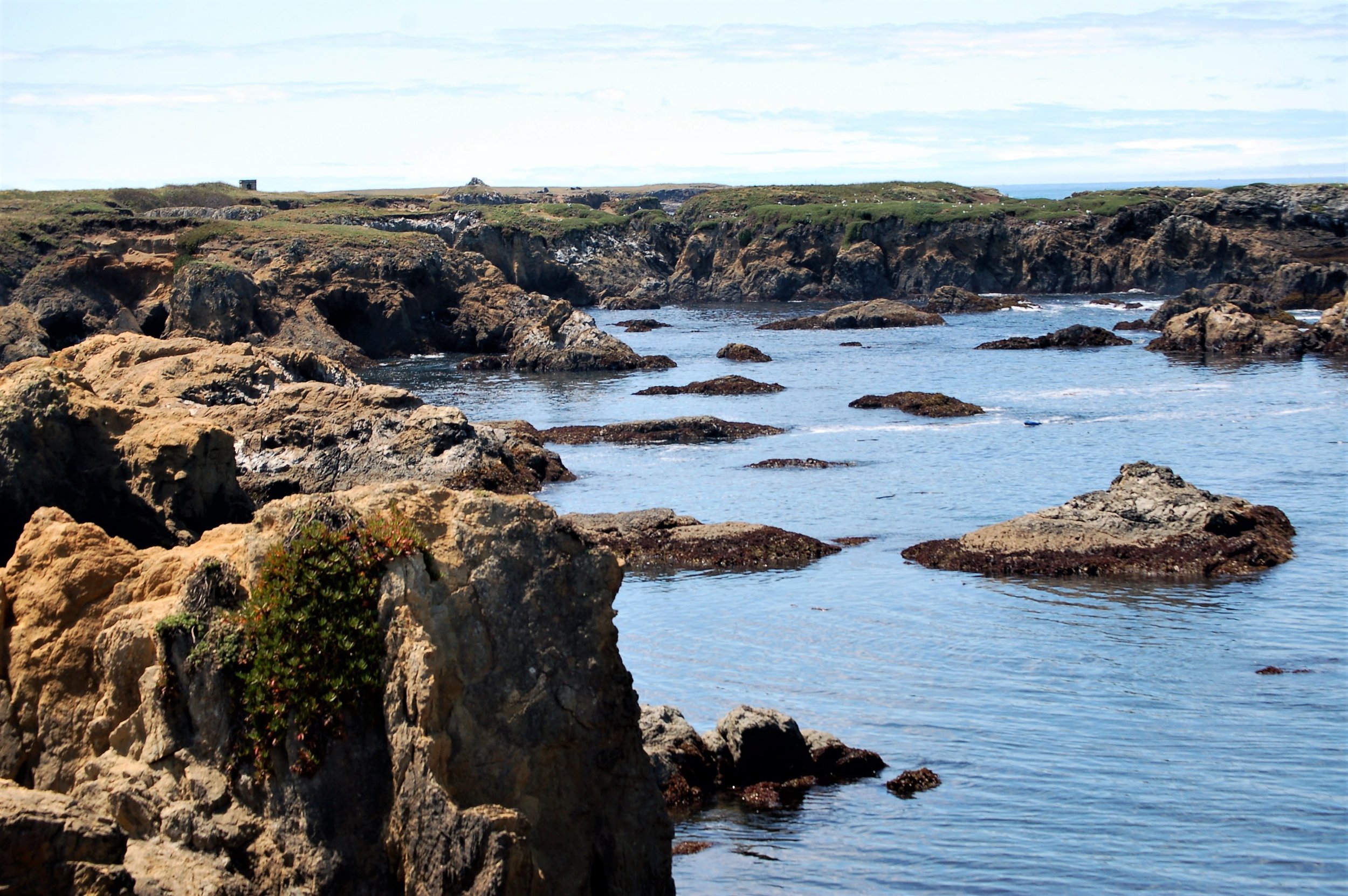 Fort Bragg Cove.jpg