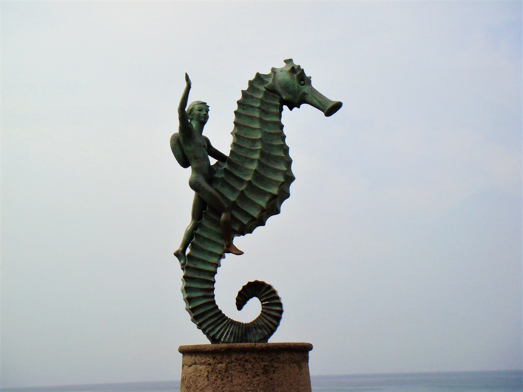 Seahorse Rider.jpg