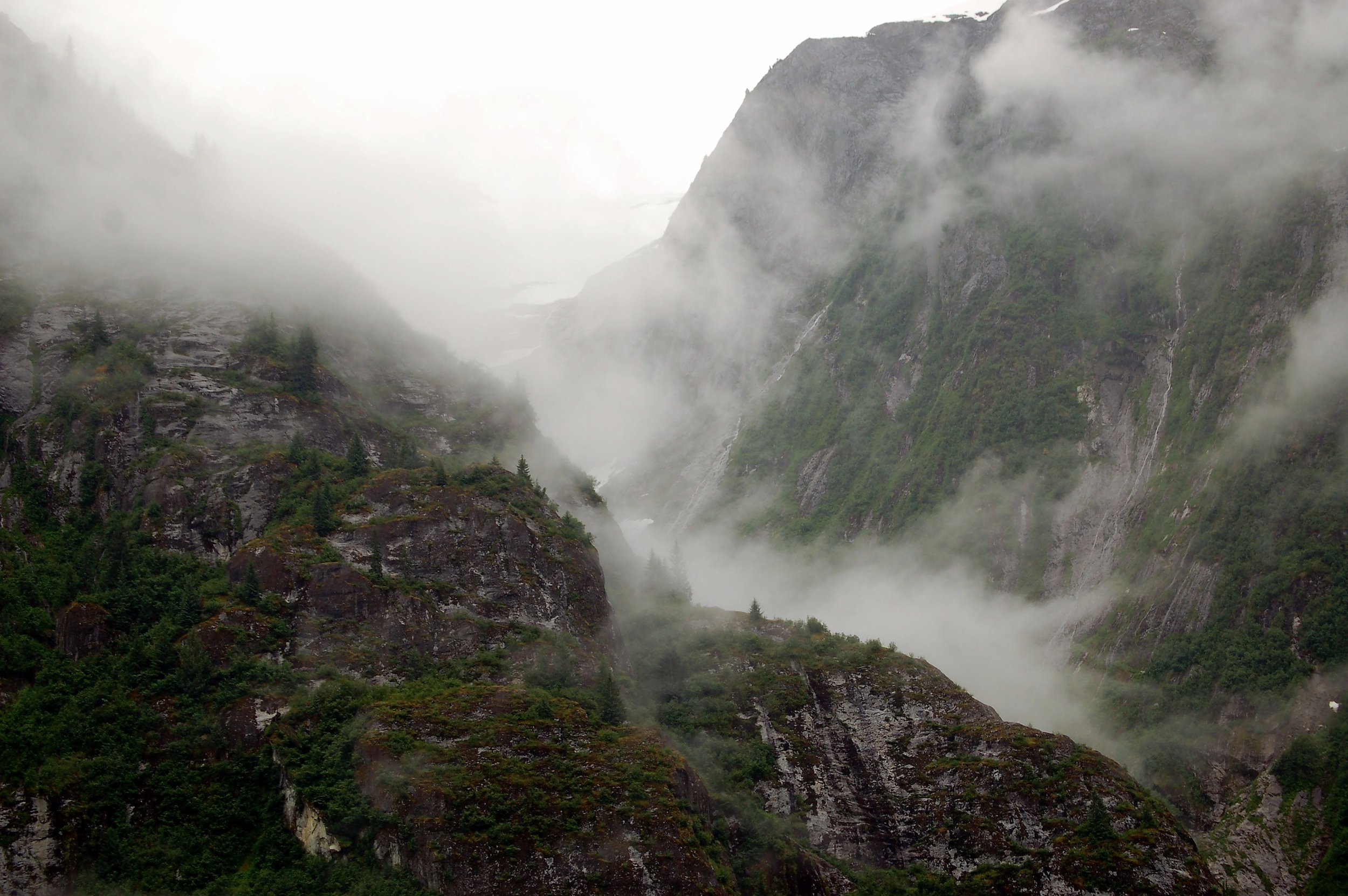 Fog Draped.jpg