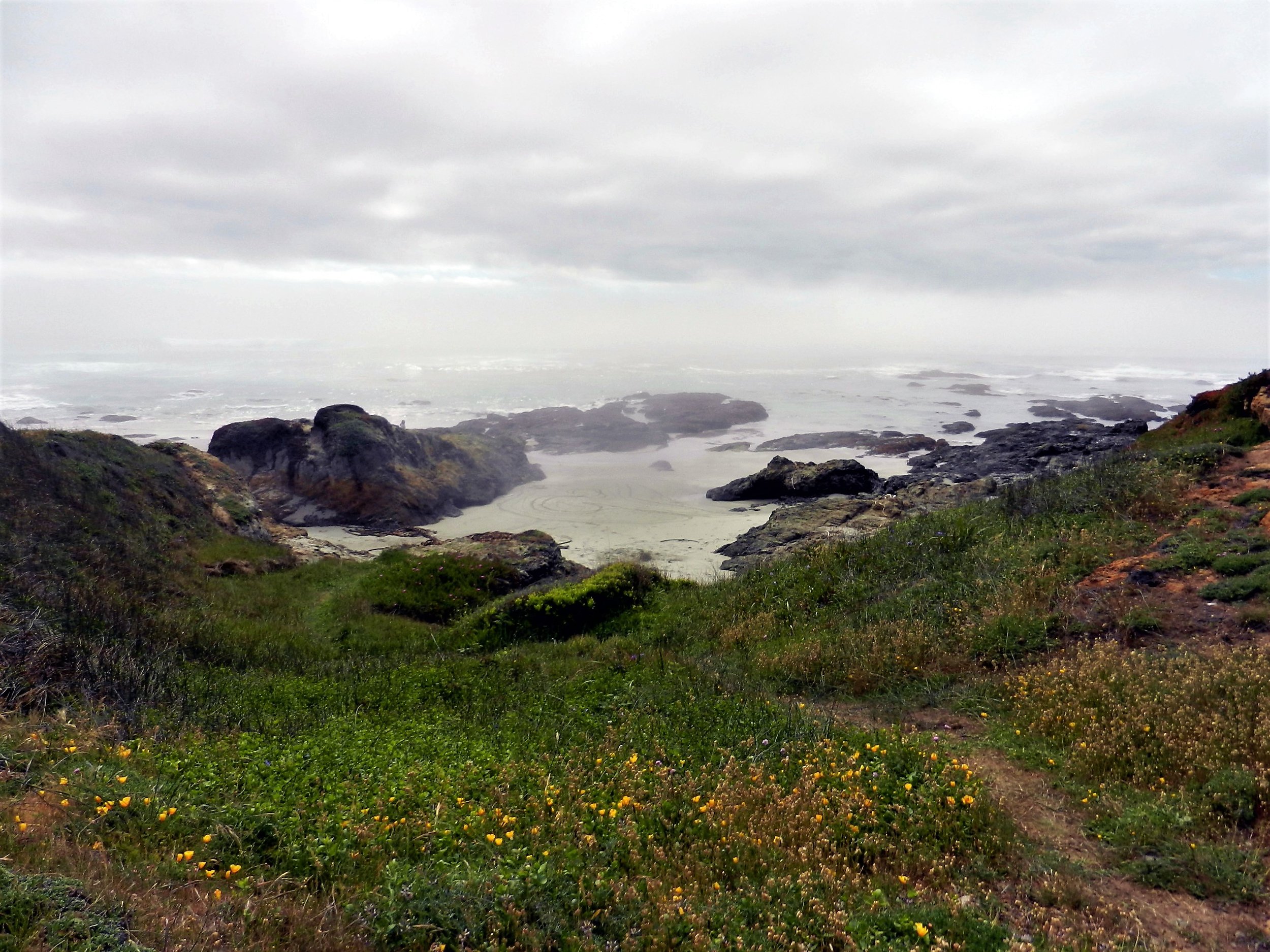 Misty Shore - Fort Bragg.jpg
