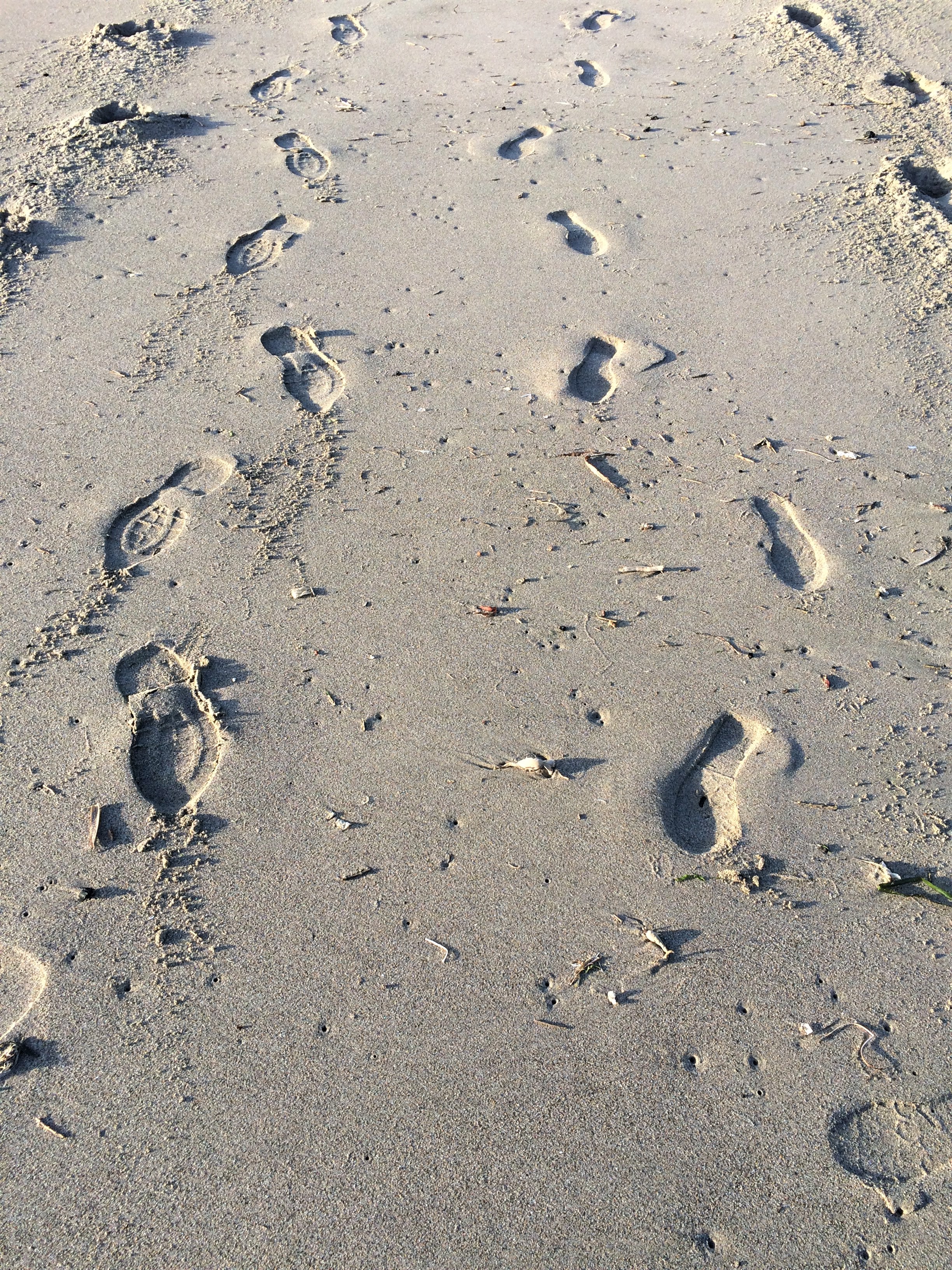 Footprints.jpg