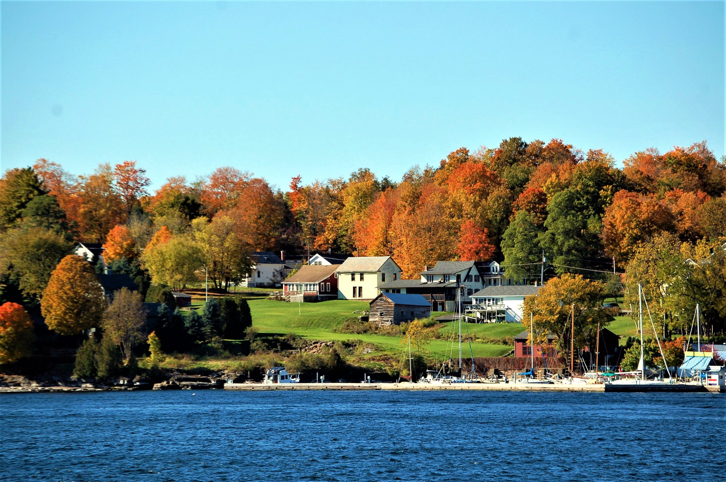 Splendor of Fall.jpg