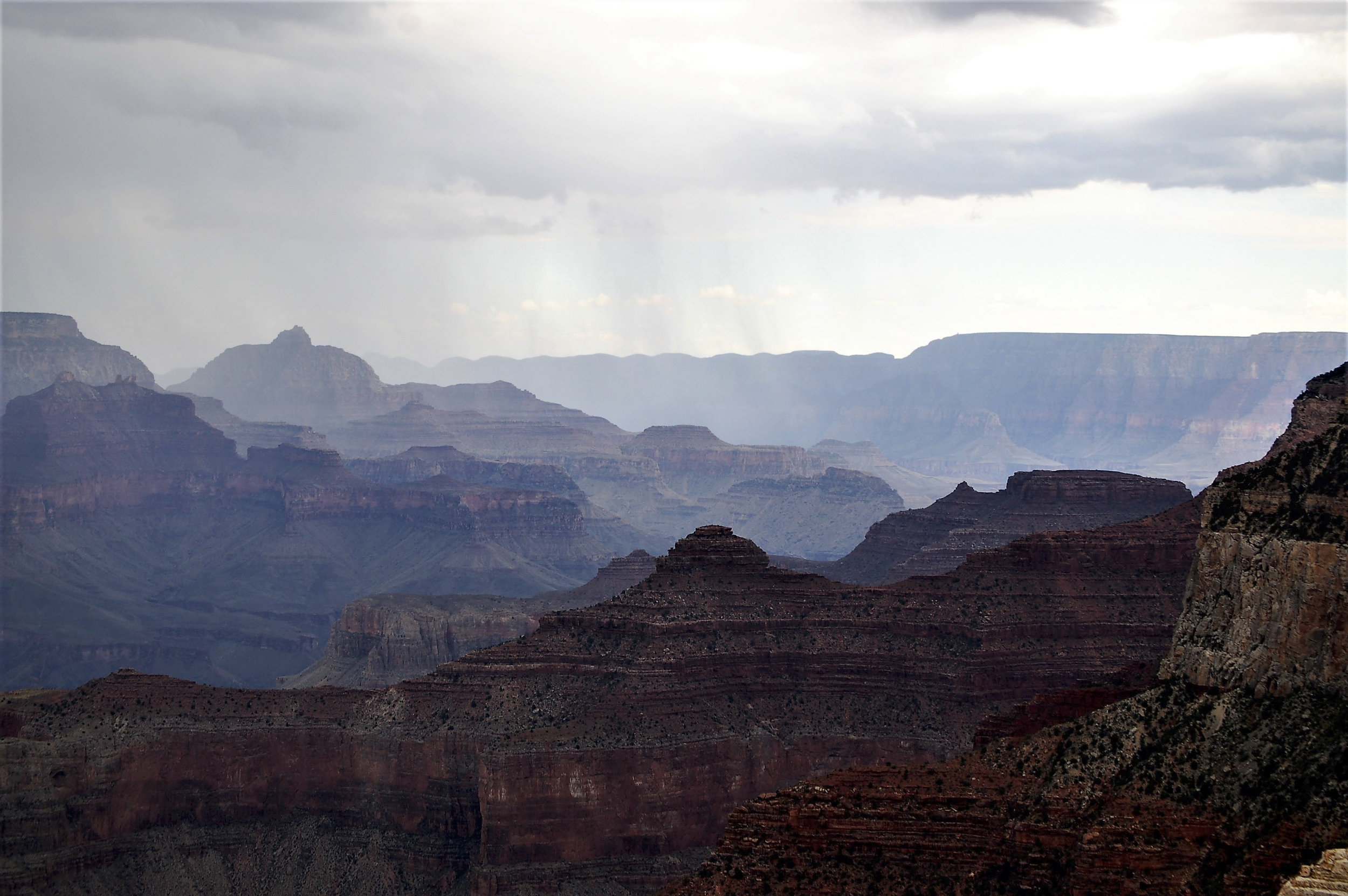 Misty Canyon.jpg