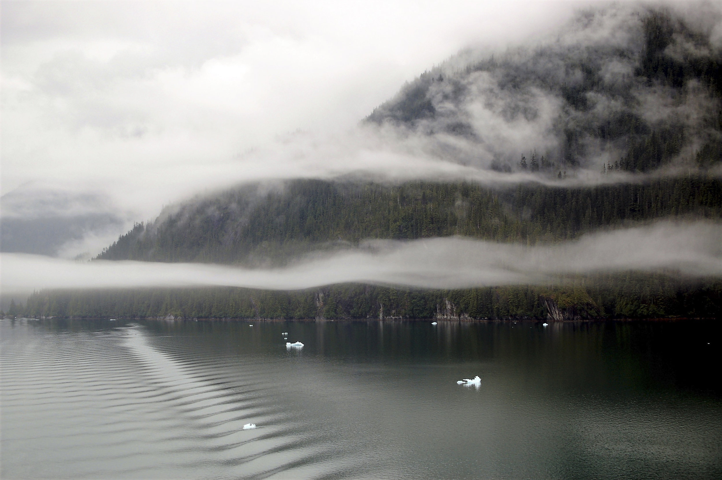 Ribbons of Fog.jpg