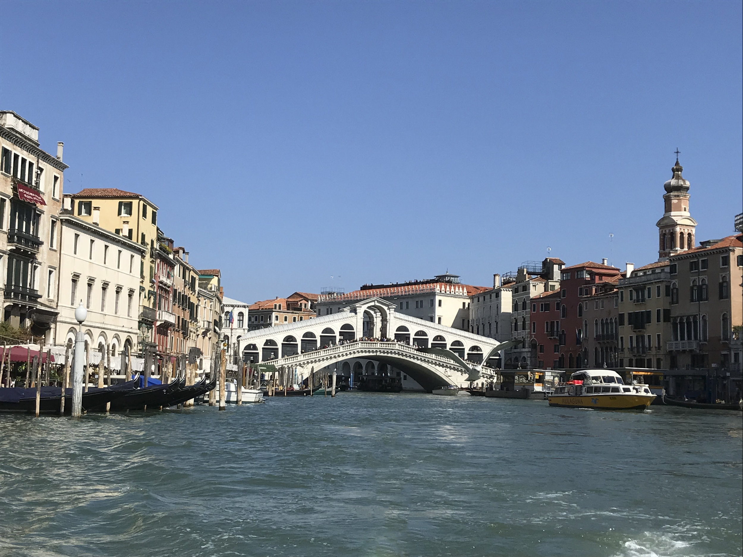 Rialto Bridge.jpg