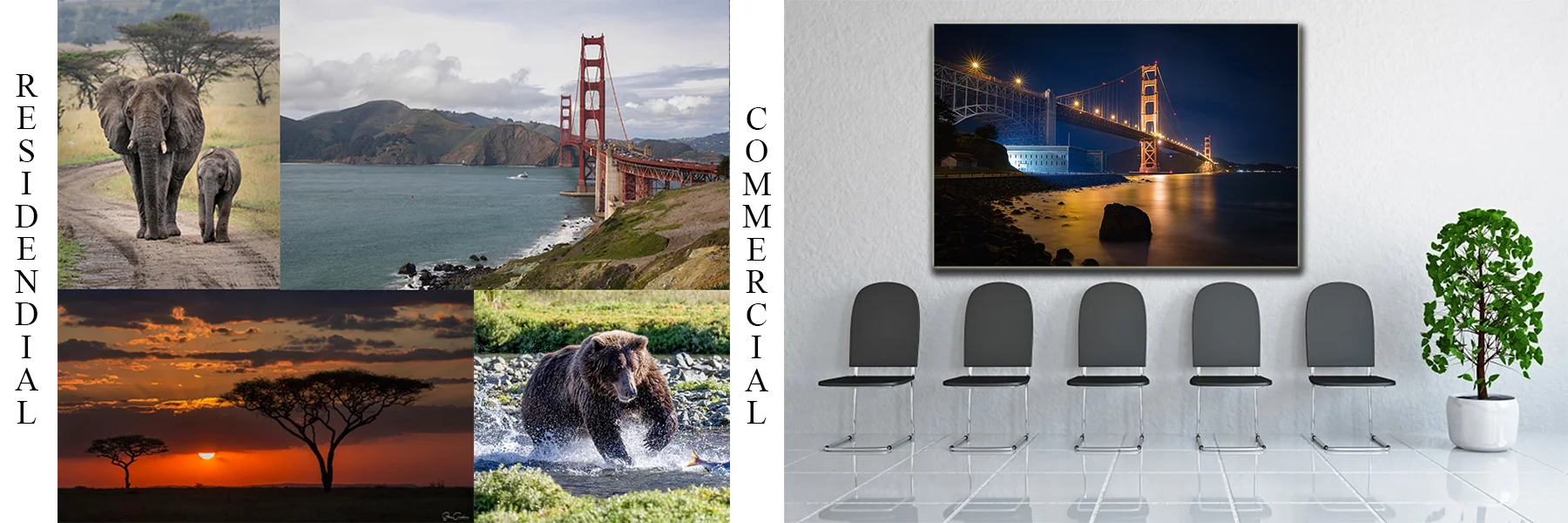 GALLERY HEADER 1.jpg