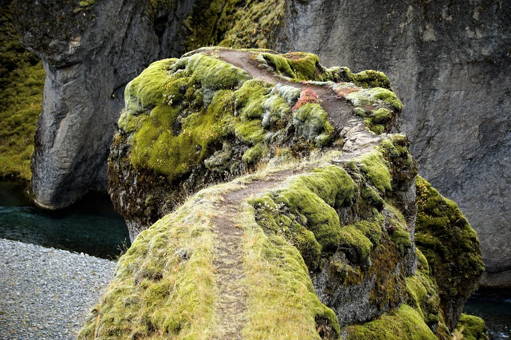 Crooked Path