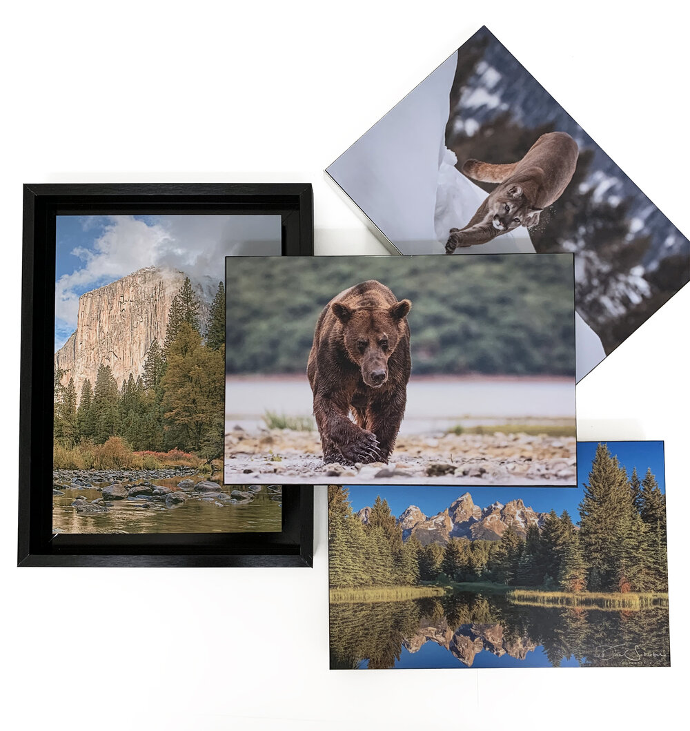 Rated R Metal Prints for Sale