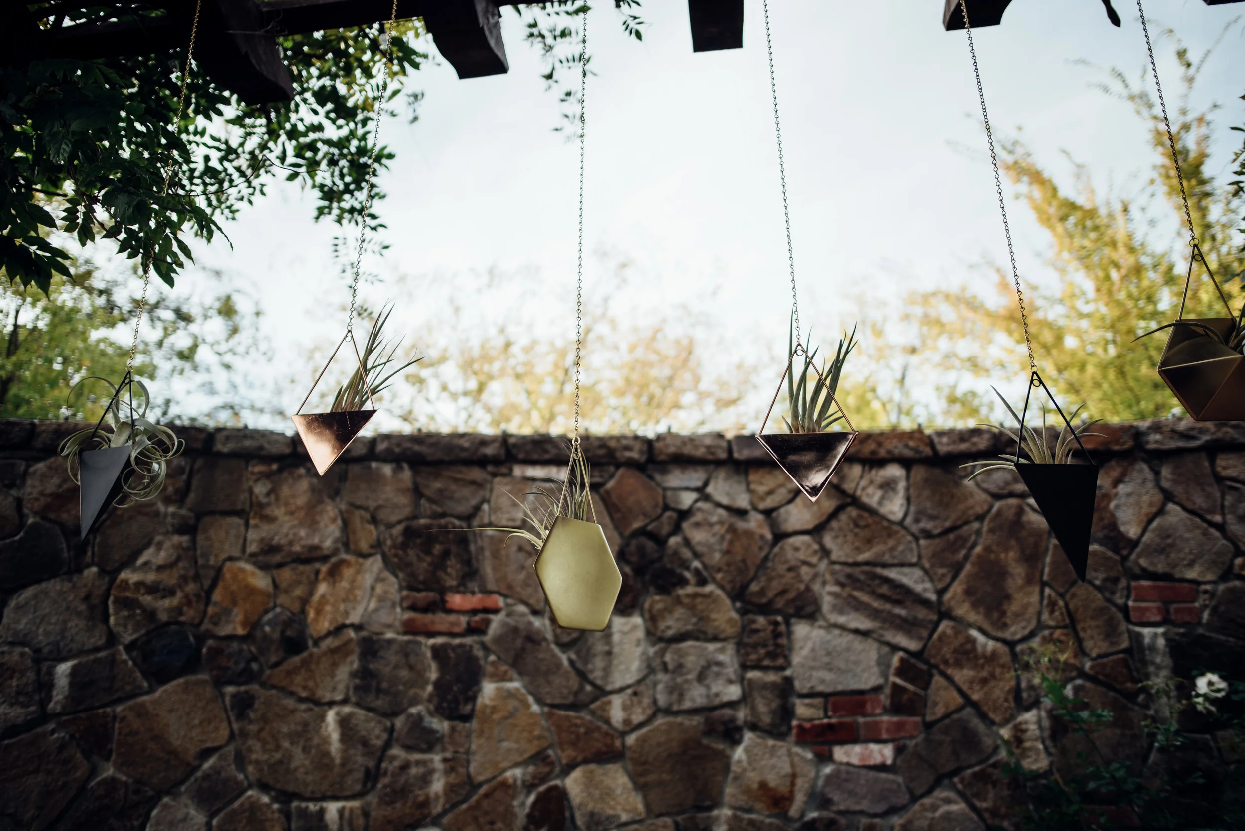 20161023-DHP-149.jpg