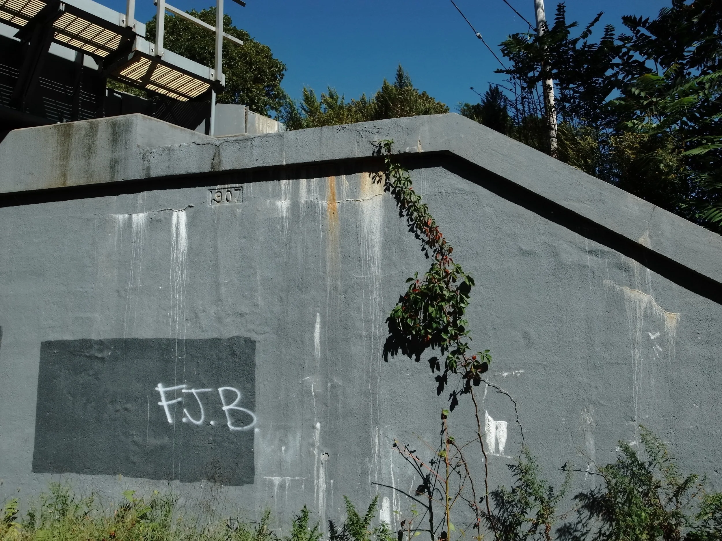 R0018524.jpeg