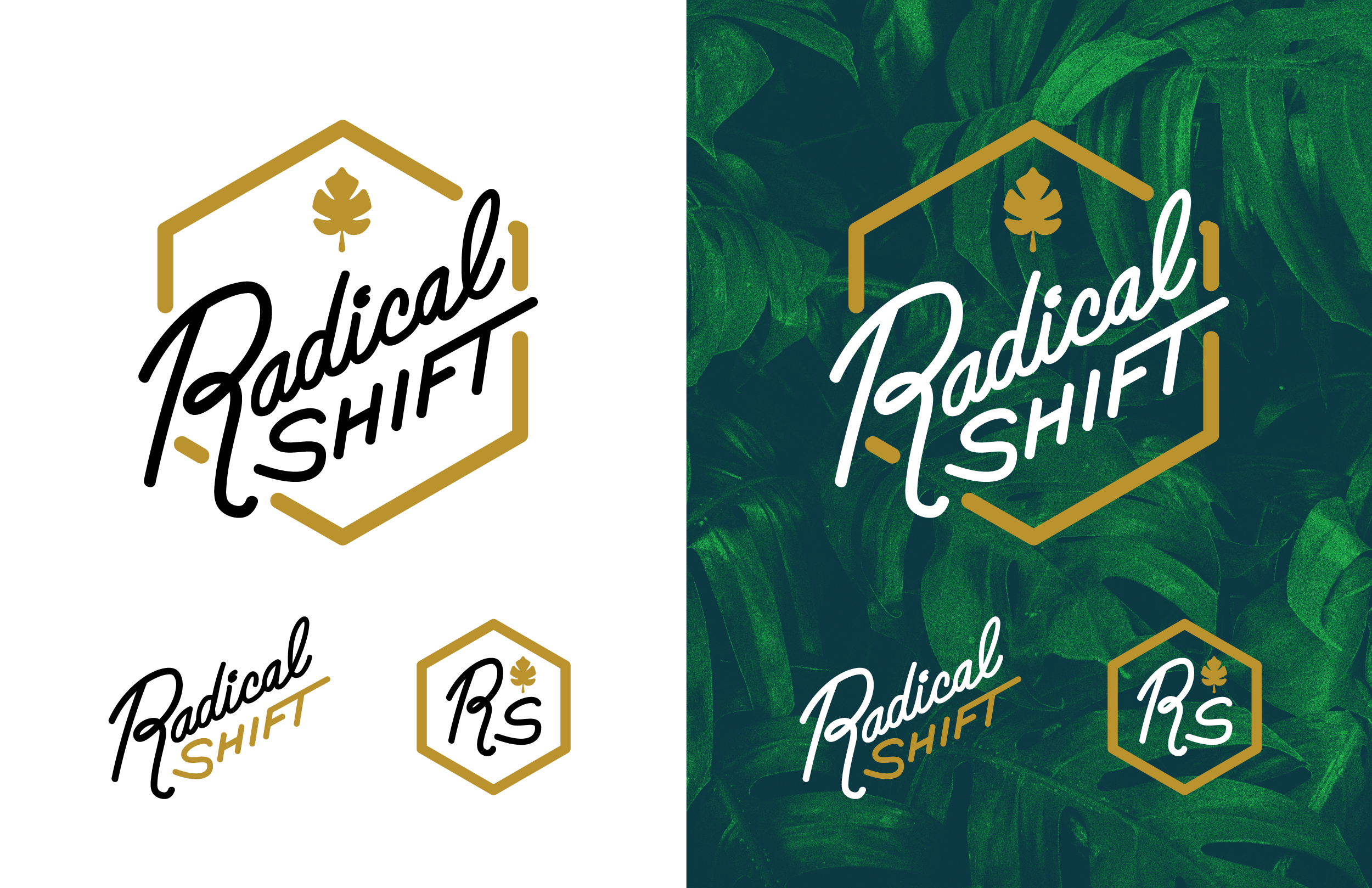 56463-radical-shift-logos-BH-01.png