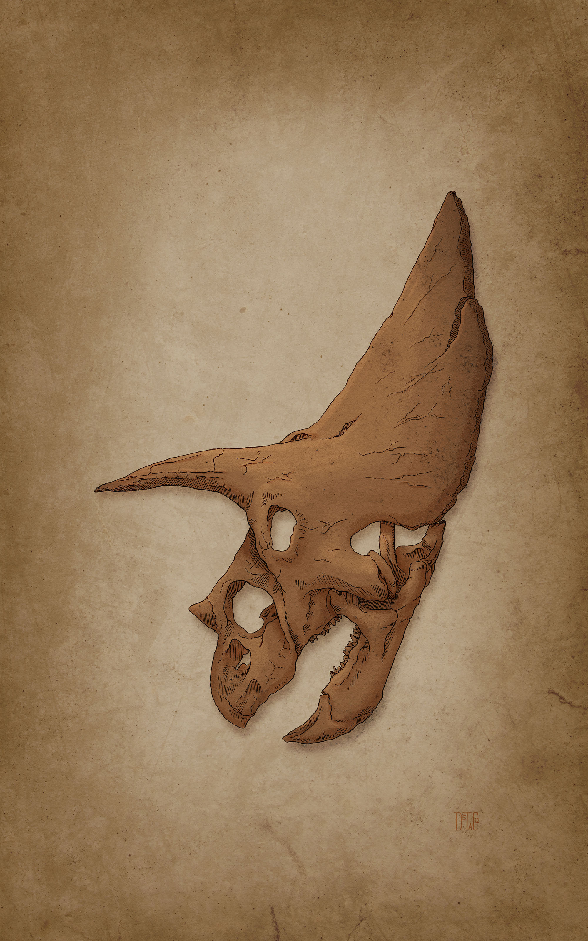 FossilSkull_v02_NoBoarder.jpg