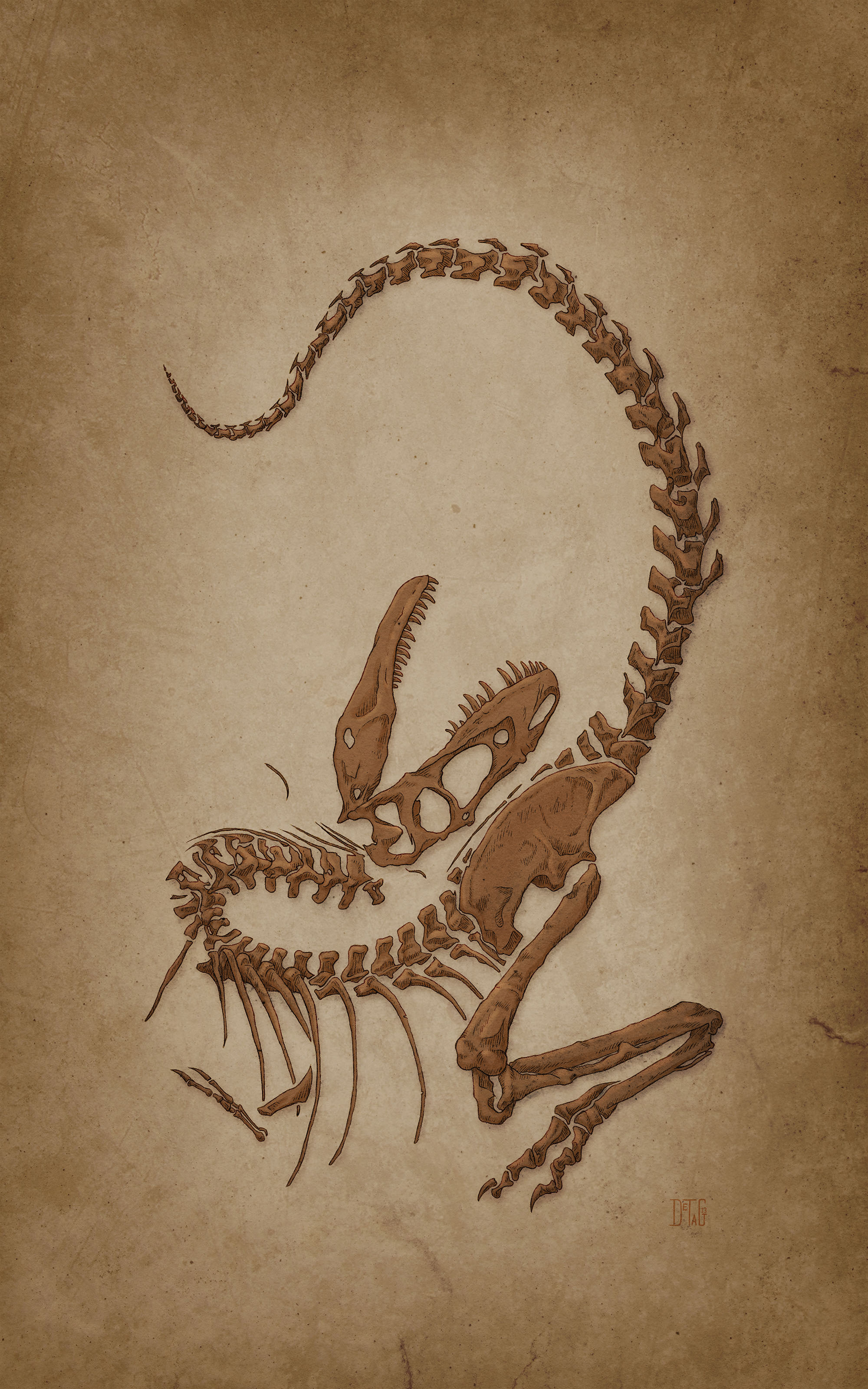 Fossil_v01_NoBoarder.jpg