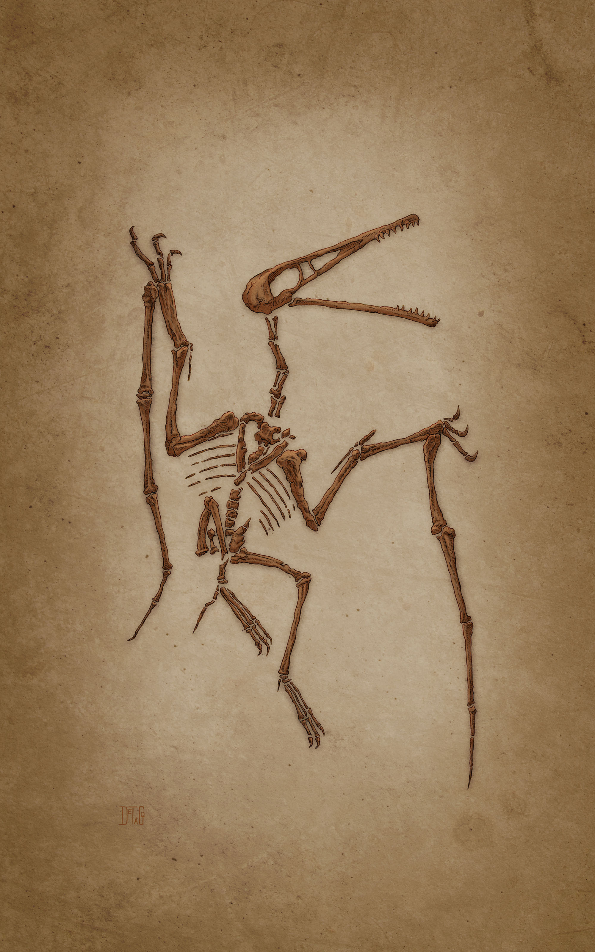 PterodactylusFossil_v01_NoBoarder.jpg