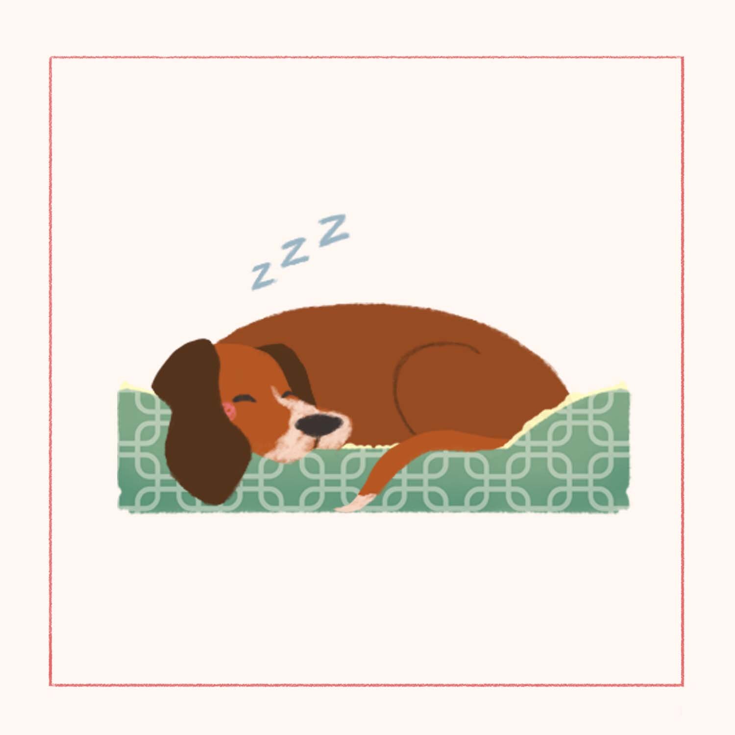 aimee_moose_pics-sleeping.jpg