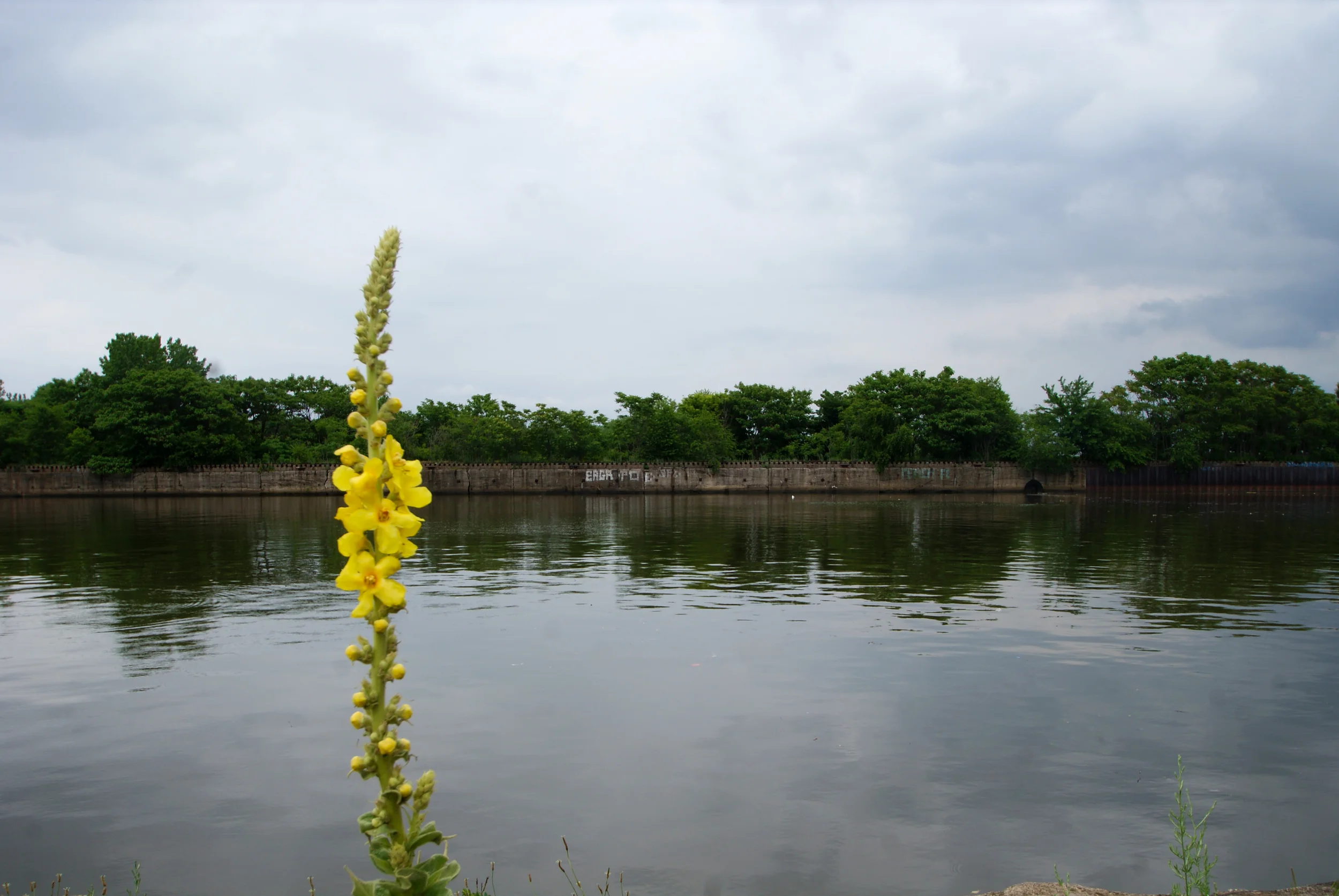 2013_0608 PHL Abandoned Piers_Coal Pier_0034.JPG