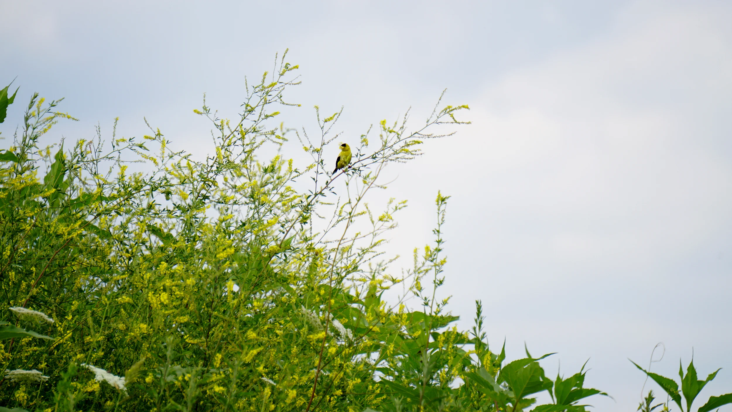 2015_0717 Philadelphia PA-New Richmond_134.JPG