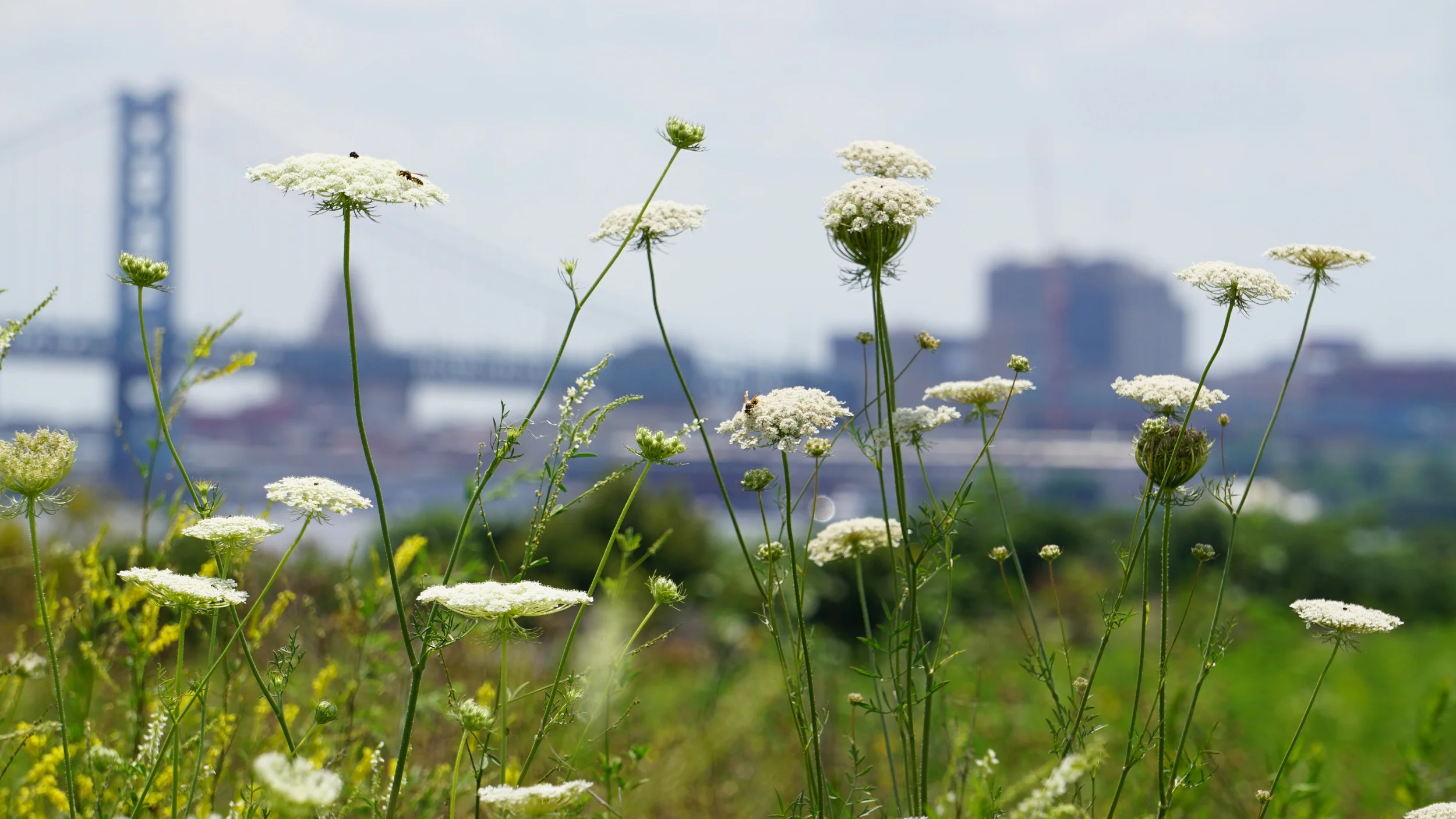 2015_0717 Philadelphia PA-New Richmond_257.JPG