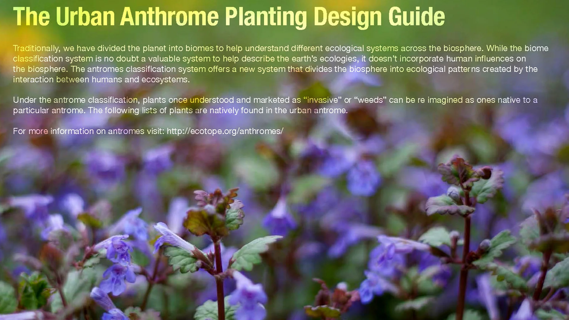 2015 LA8775 NATURE3X Landscape Tech_Page_08.jpg