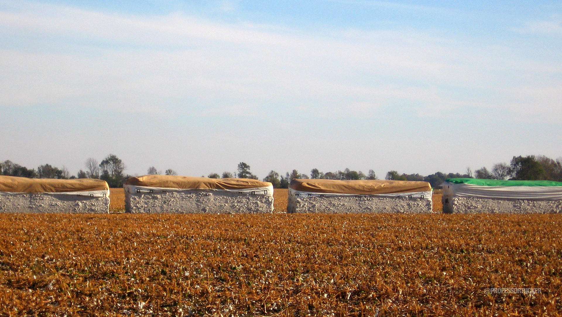 2005_ISU Studio_Clarksdale Rural Cotton Bales.jpg