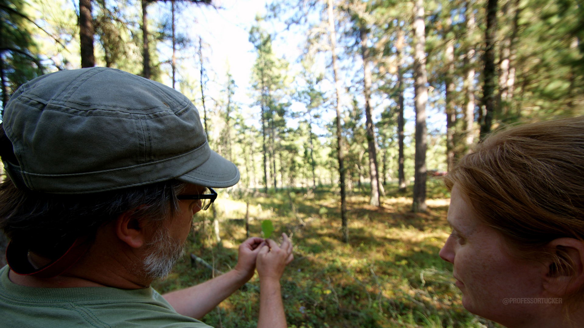 2012 LA5202_05 forest floor findings.jpg