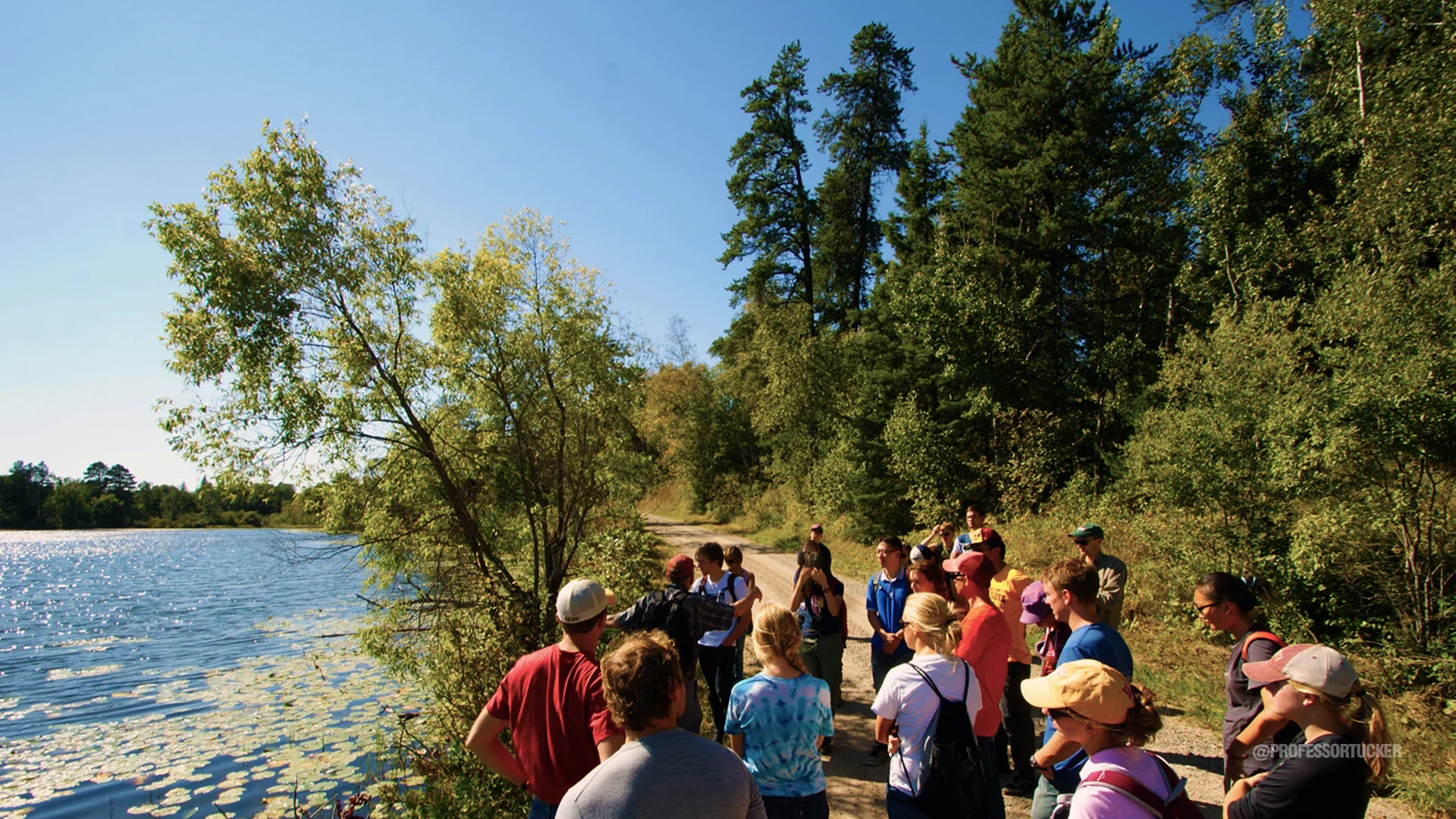 2012 LA5202_03 Pine Lake transect.jpg