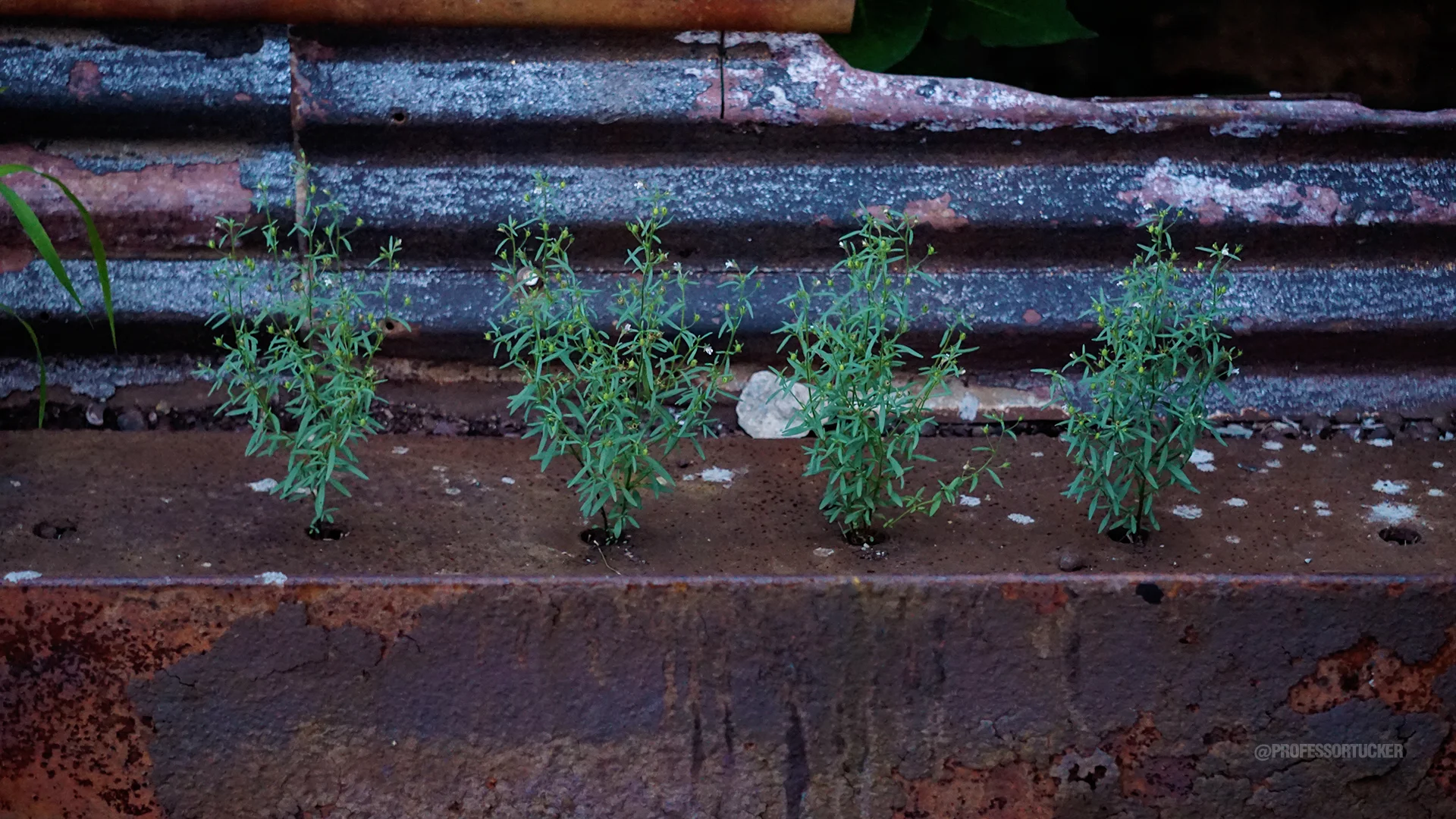 2015_0717 Bethlehem PA_189.jpg
