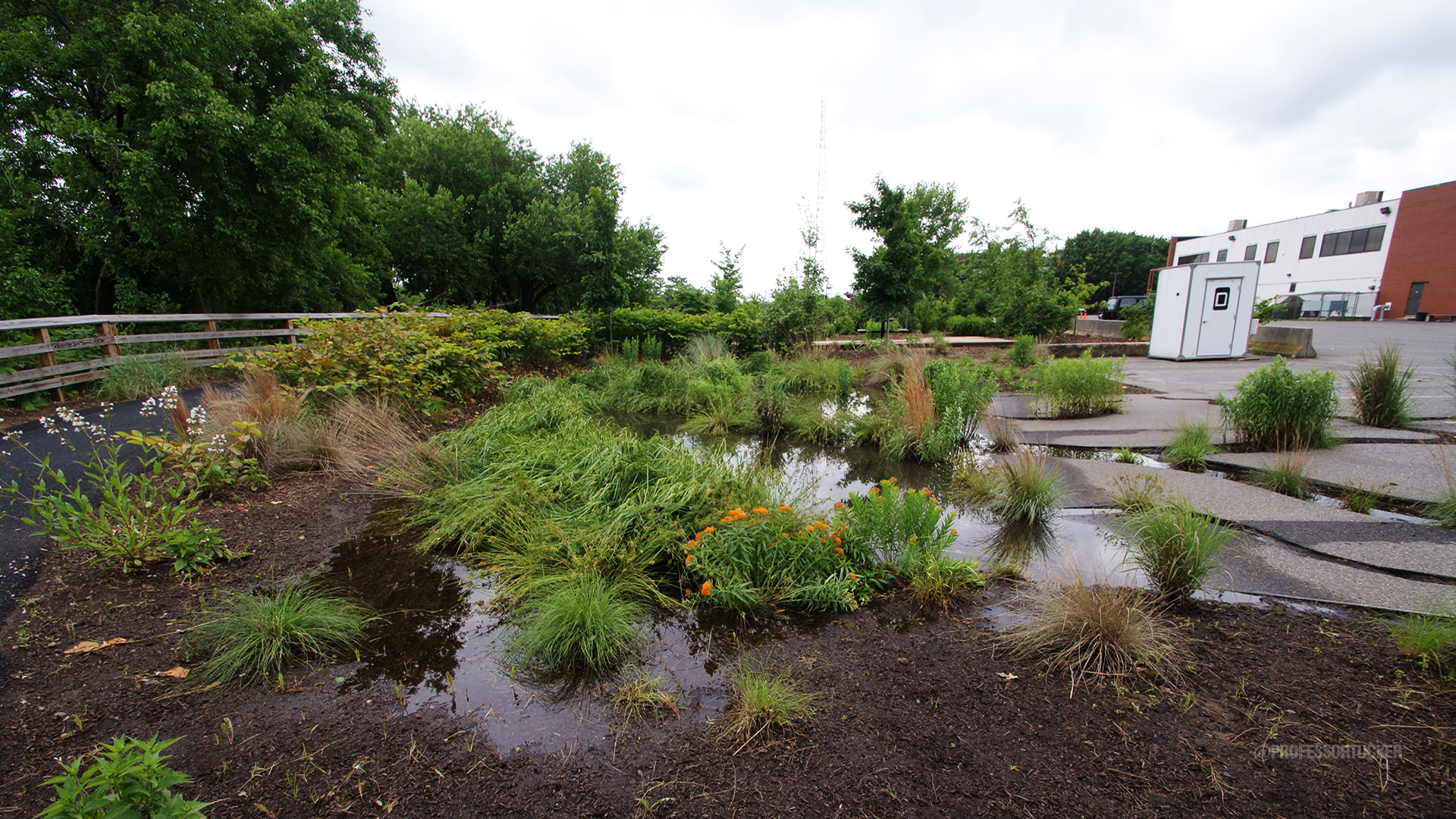 2013_0608_Washington Ave Green_006.jpg