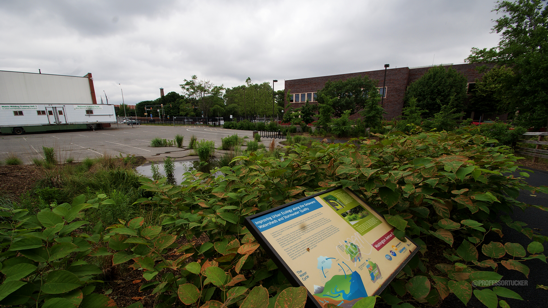 2013_0608_Washington Ave Green_008.jpg