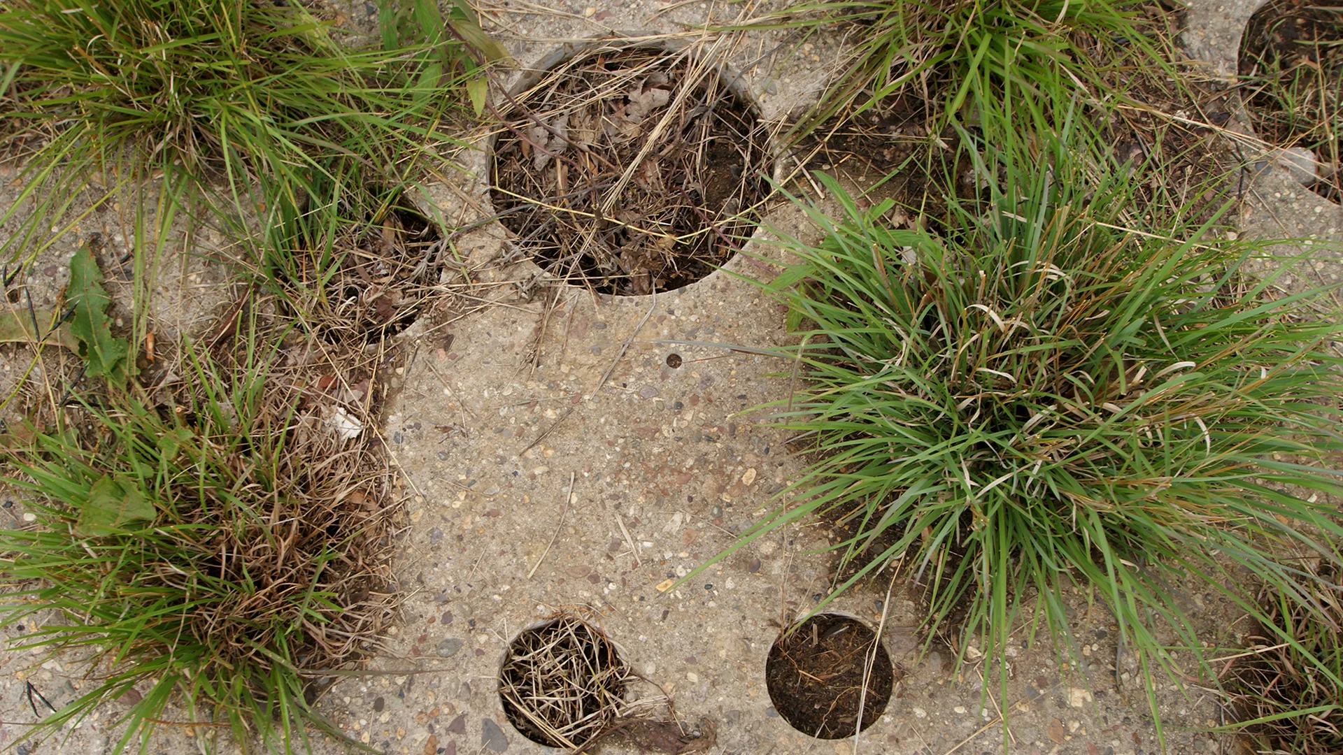 2013_0608_Washington Ave Green_018.jpg