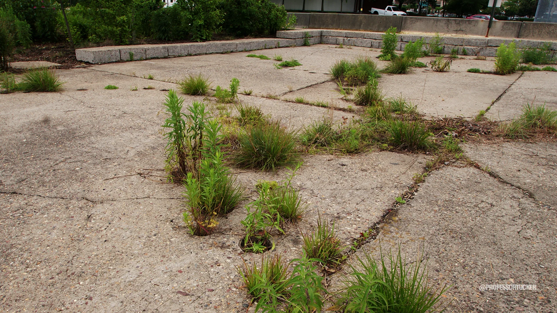 2013_0608_Washington Ave Green_020.jpg