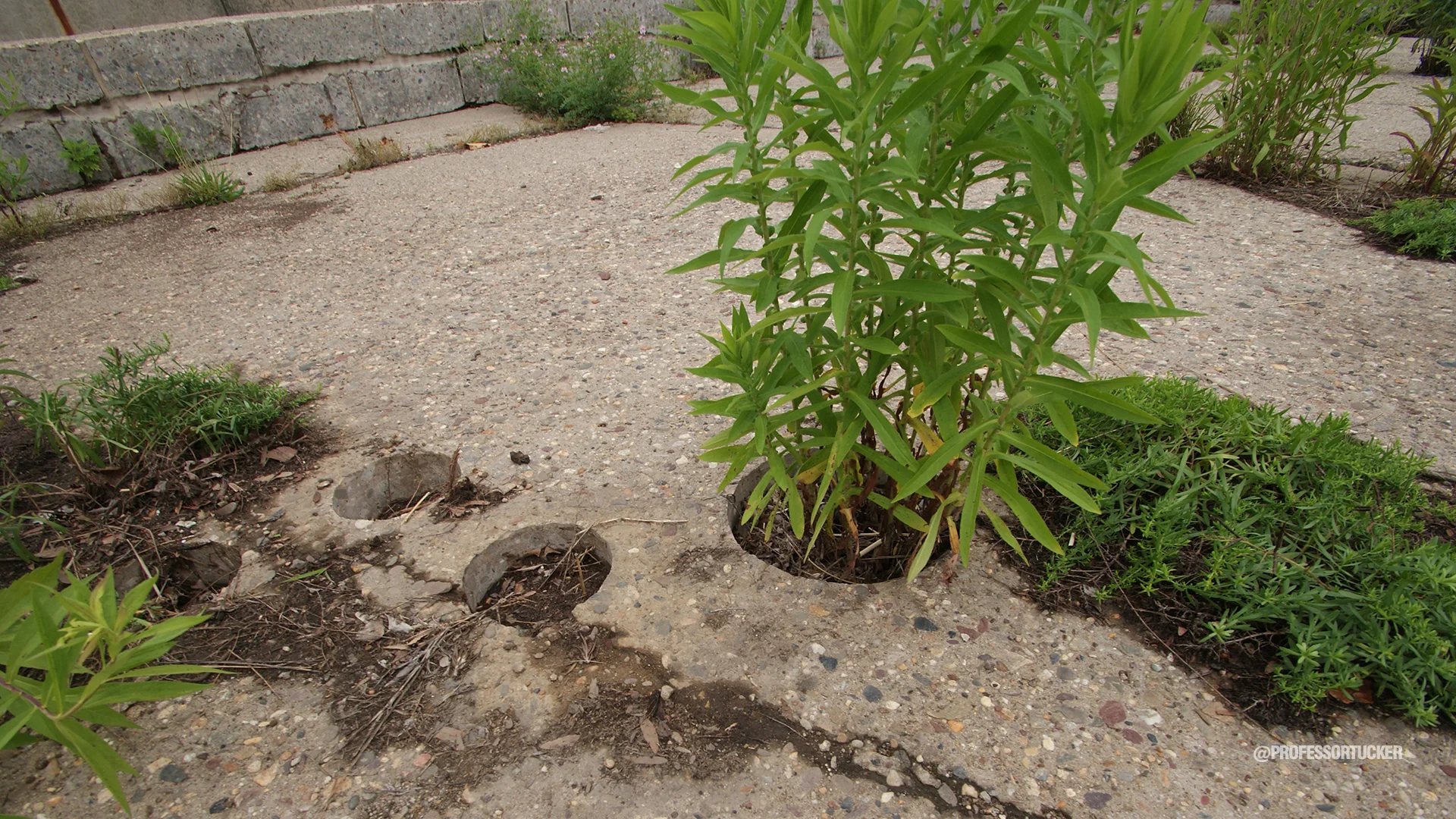 2013_0608_Washington Ave Green_026.jpg