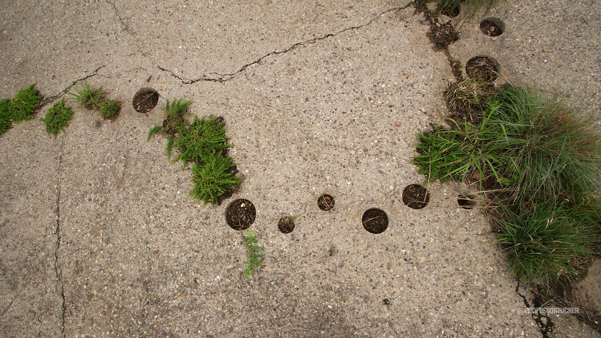 2013_0608_Washington Ave Green_025.jpg
