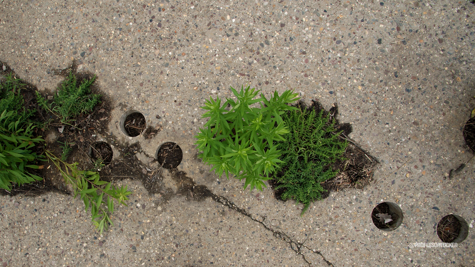 2013_0608_Washington Ave Green_027.jpg