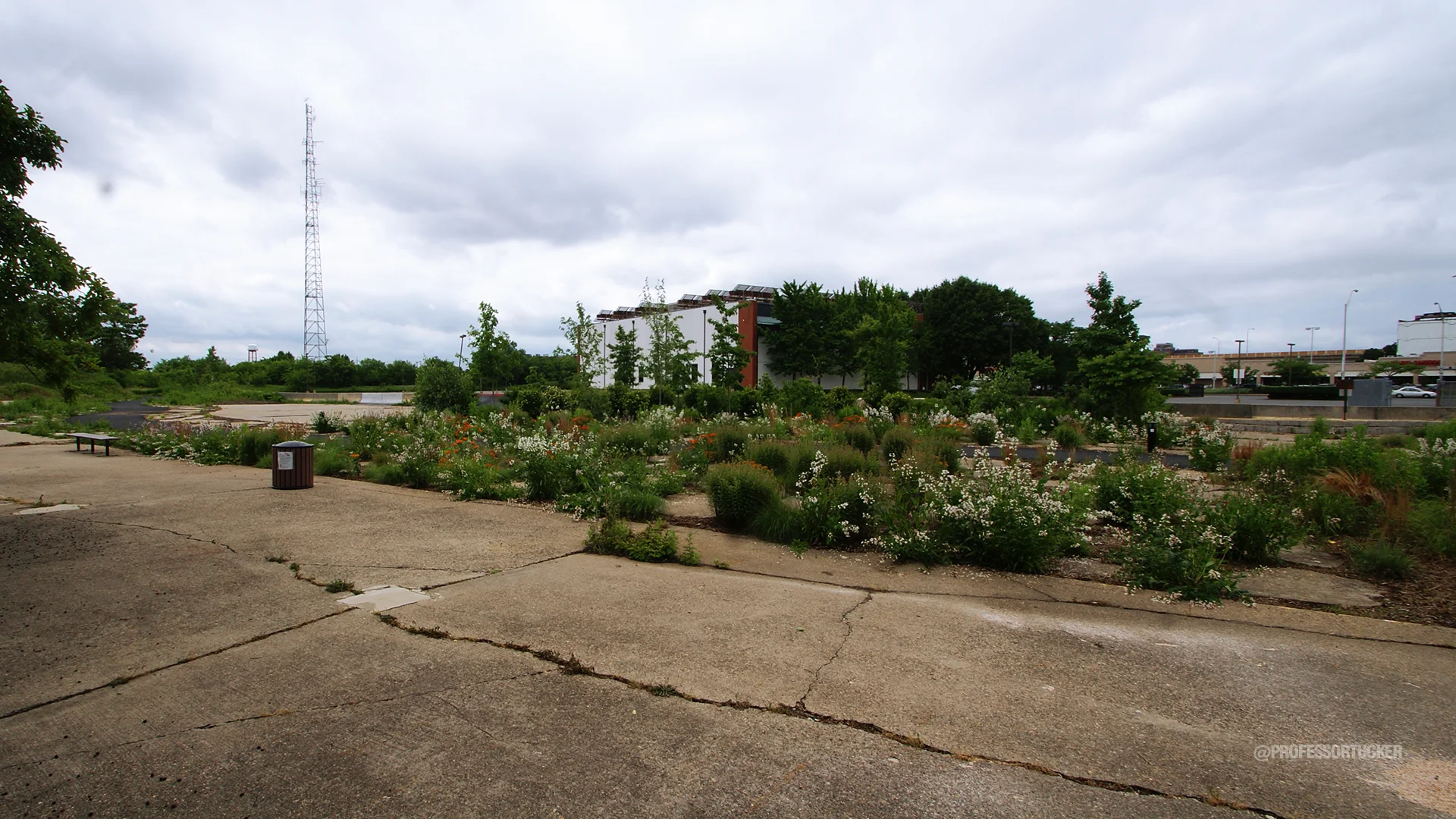 2013_0608_Washington Ave Green_043.jpg