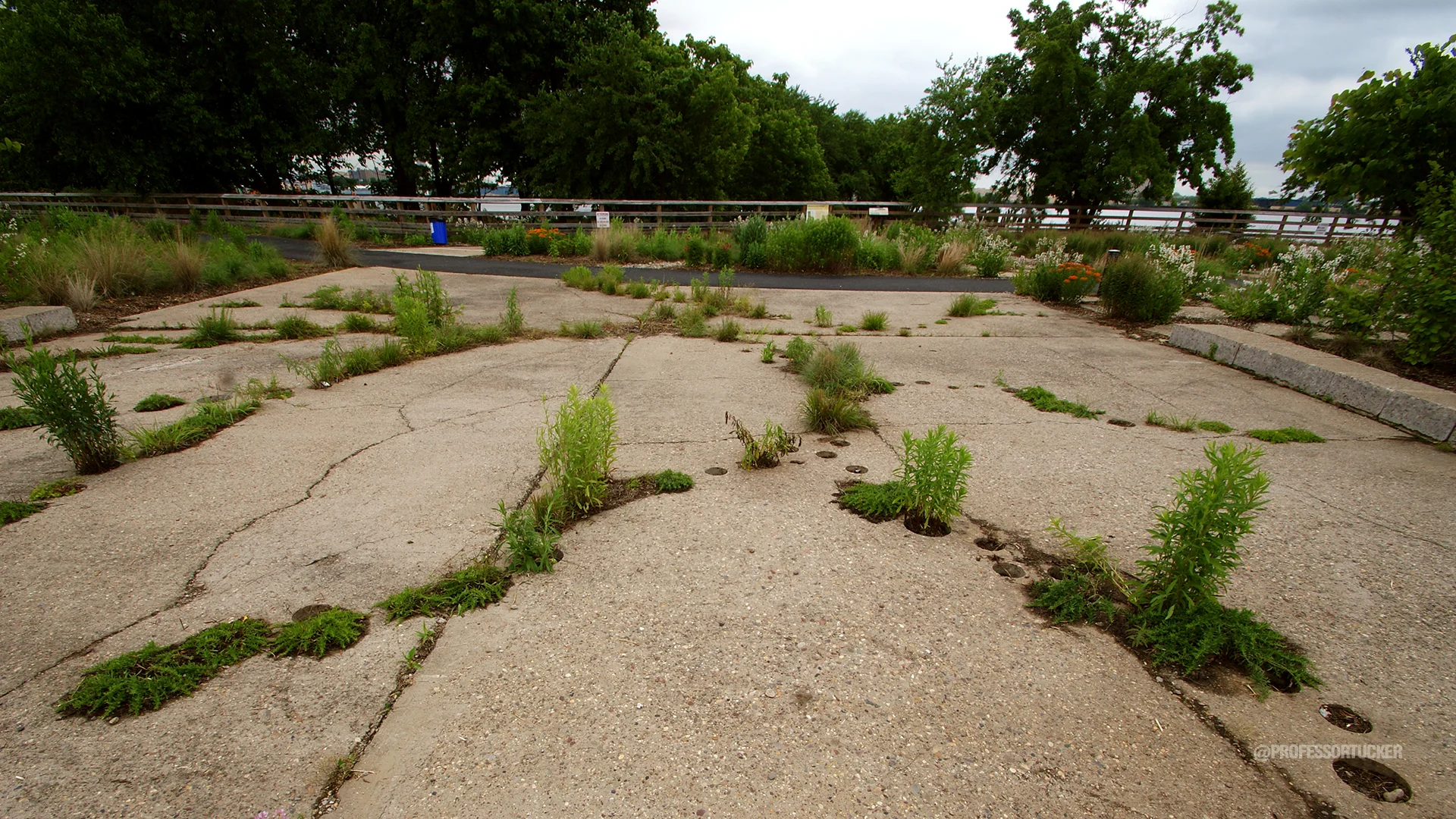 2013_0608_Washington Ave Green_032.jpg