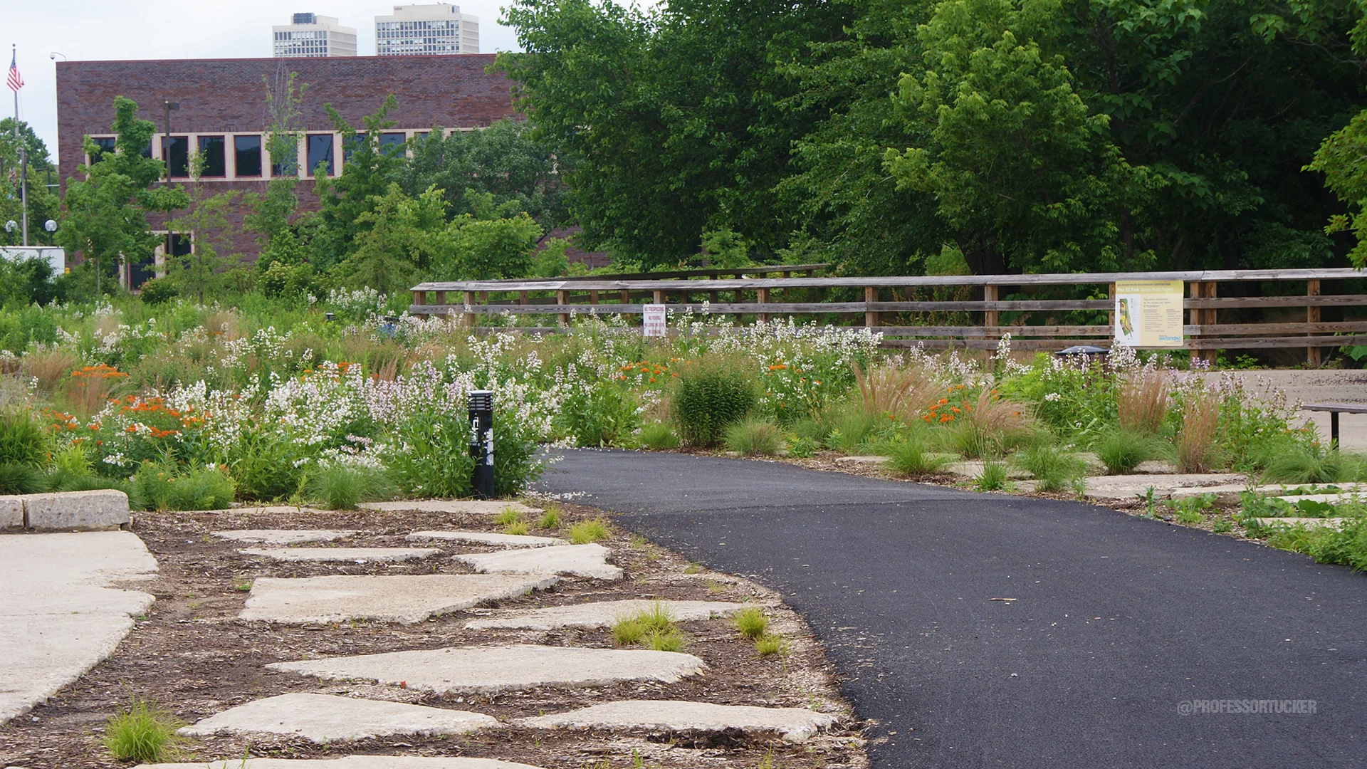 2013_0608_Washington Ave Green_073.jpg