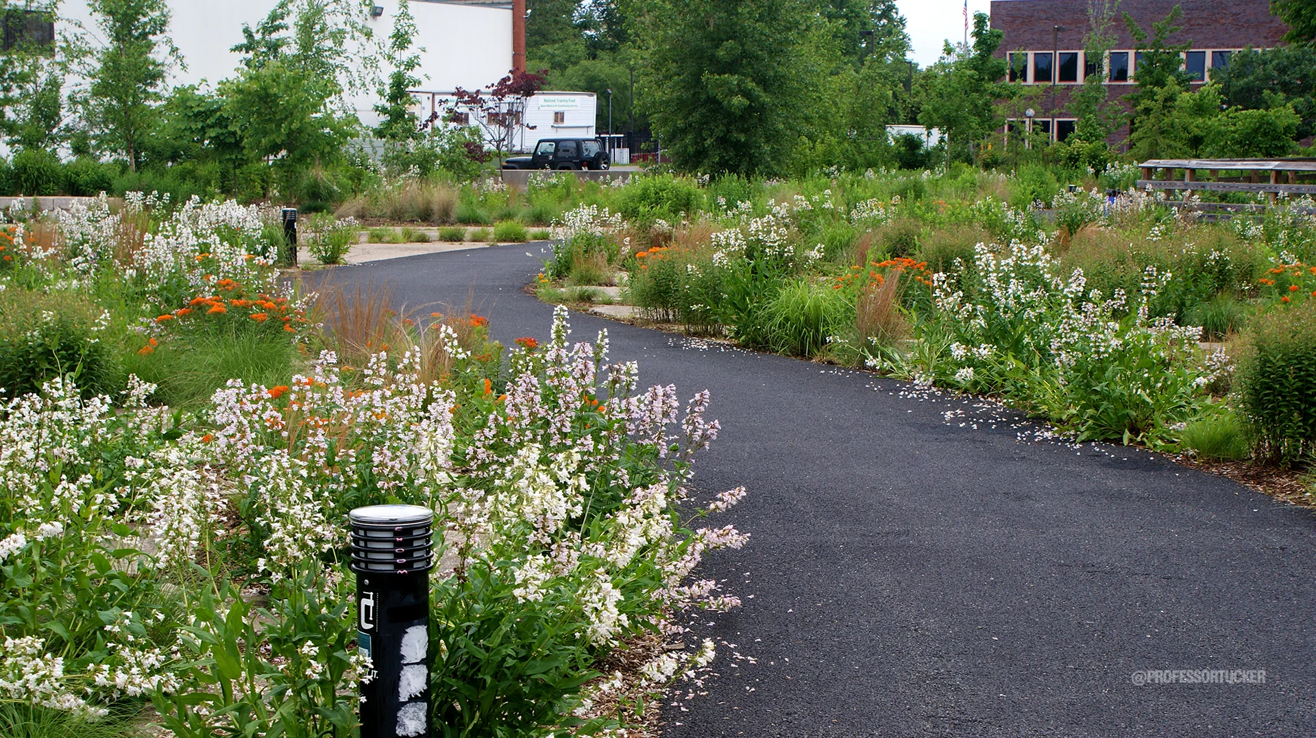 2013_0608_Washington Ave Green_075.jpg