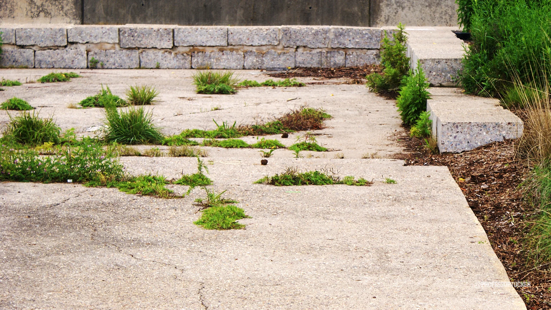 2013_0608_Washington Ave Green_081.jpg