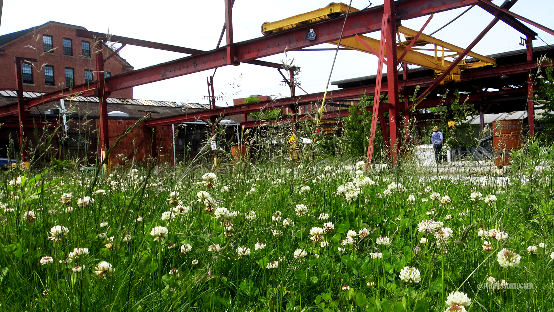 2013_0527 SteelYard_0149.jpg