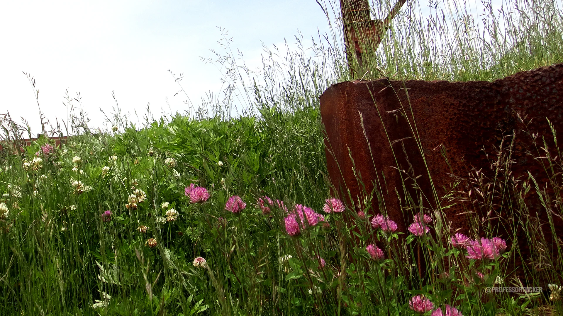 2013_0527 SteelYard_0160.jpg