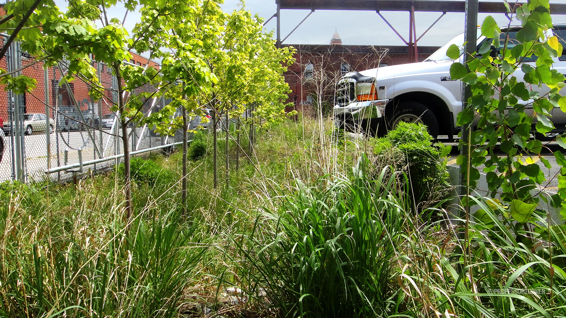 2013_0527 SteelYard_0155.jpg