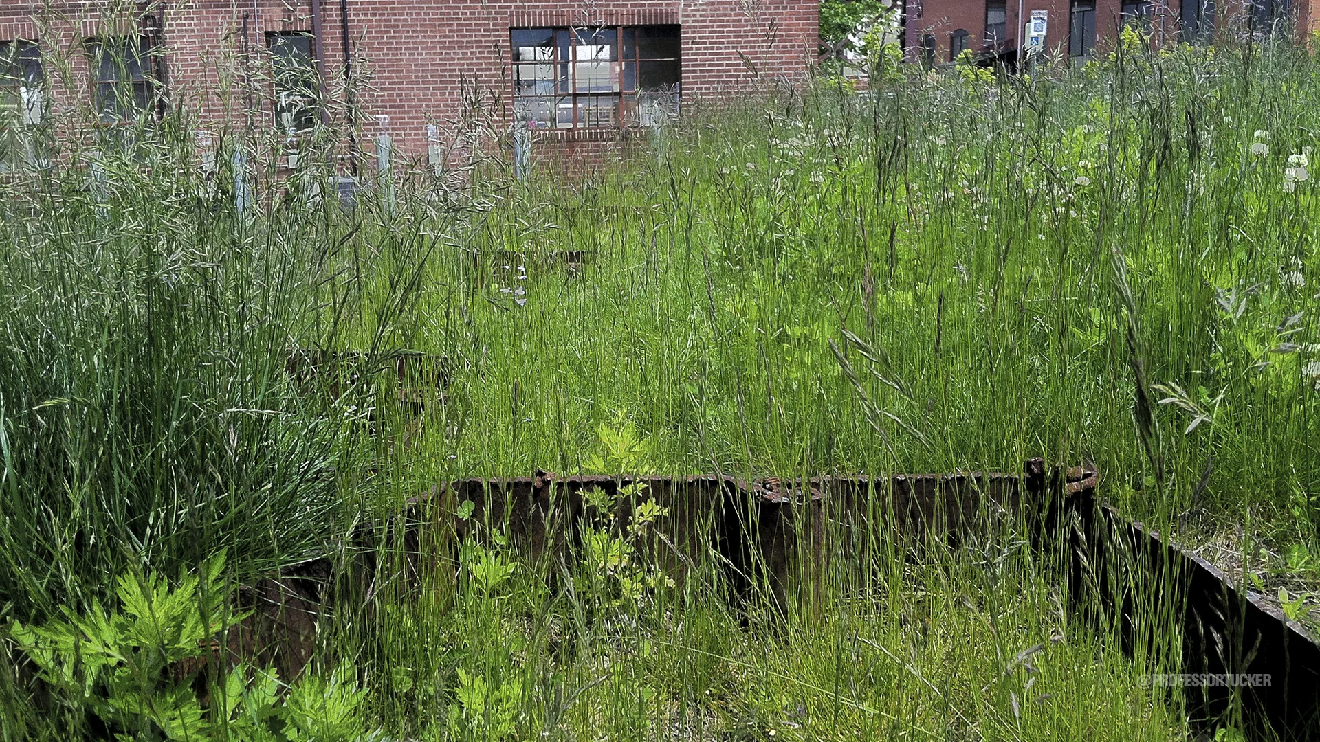 20130528_Providence SteelYard_068.jpg