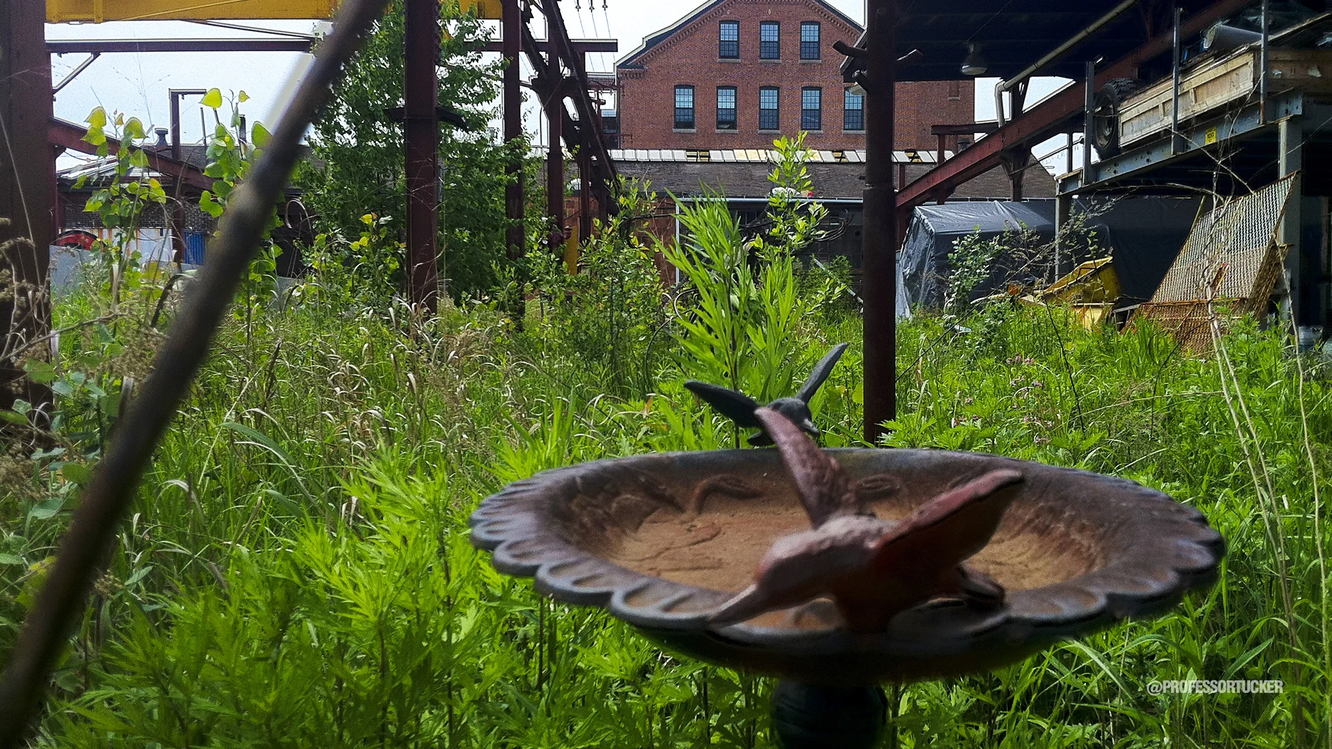 20130528_Providence SteelYard_122.jpg