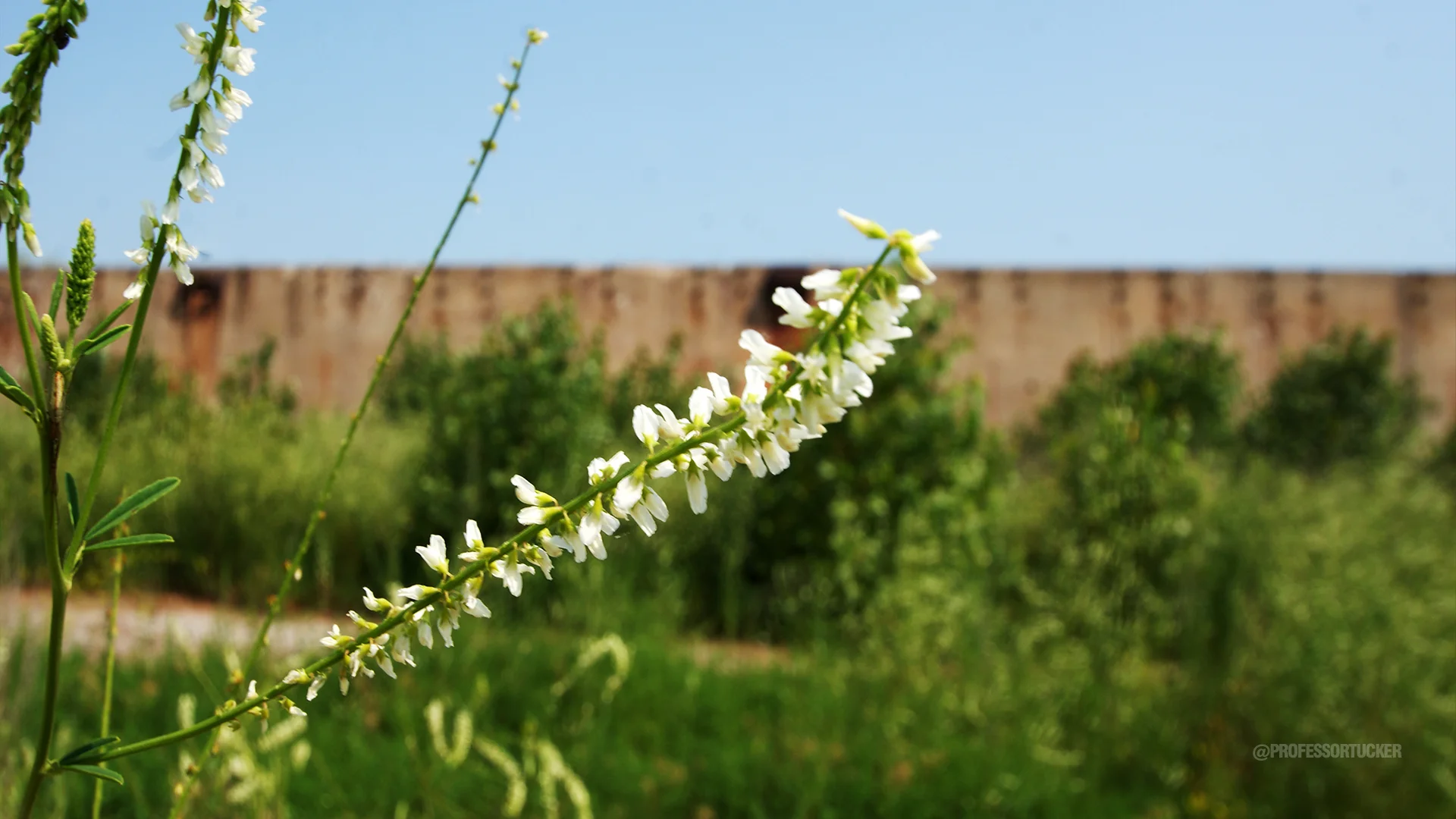 2014 Chicago-US Steel_0116.jpg