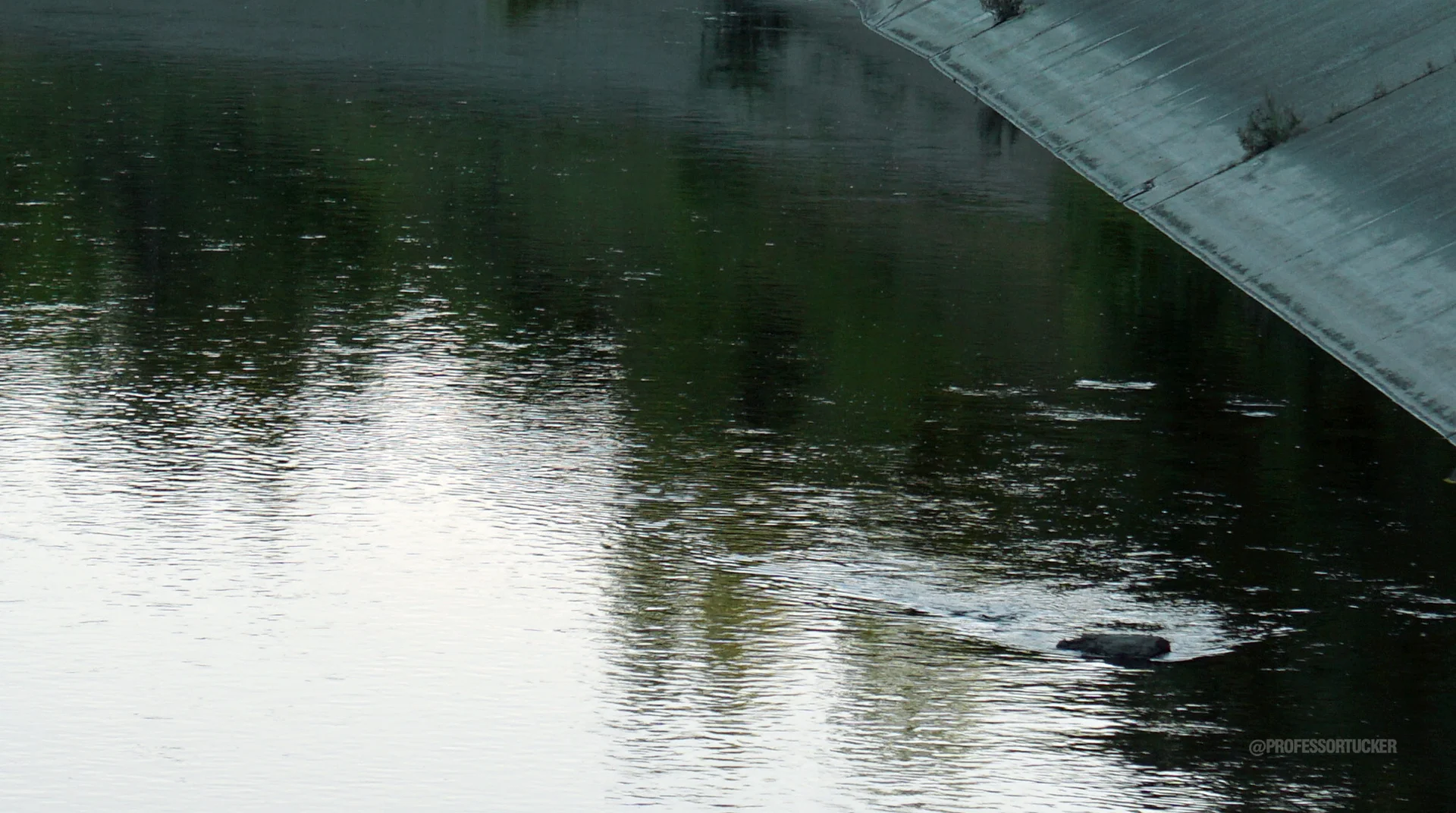 FLINT MI_Flint River 005.jpg