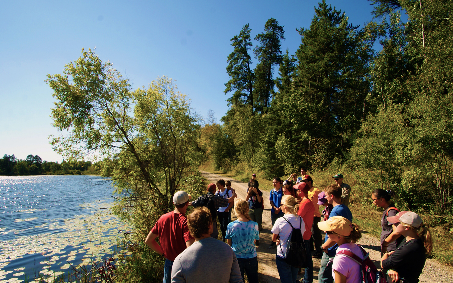 2012 LA5202_03 Pine Lake transect.jpg