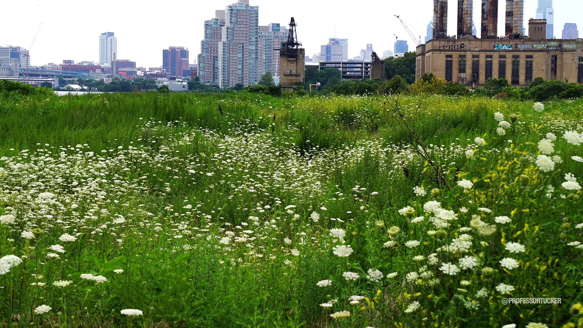 2015_0717 Philadelphia PA-New Richmond_130.jpg